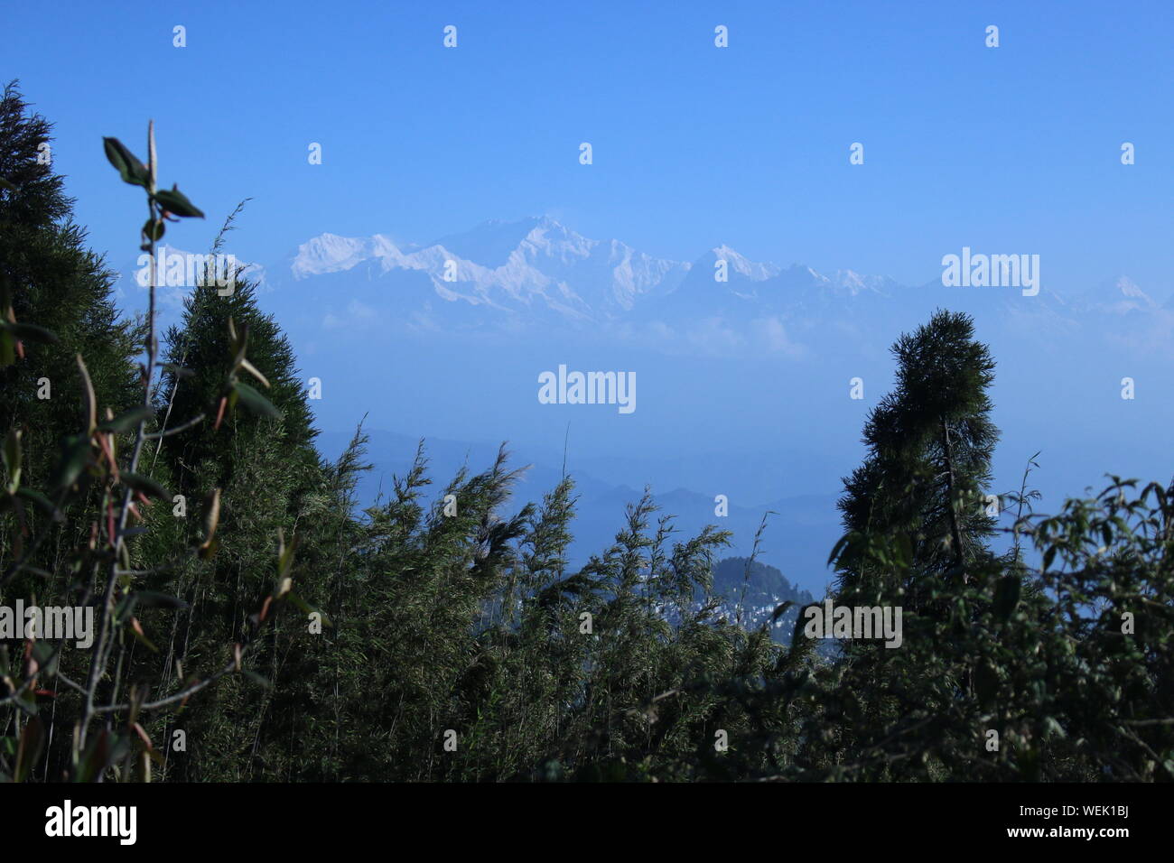 Best Darjeeling Hill View Images HD 2019 Stock Photo