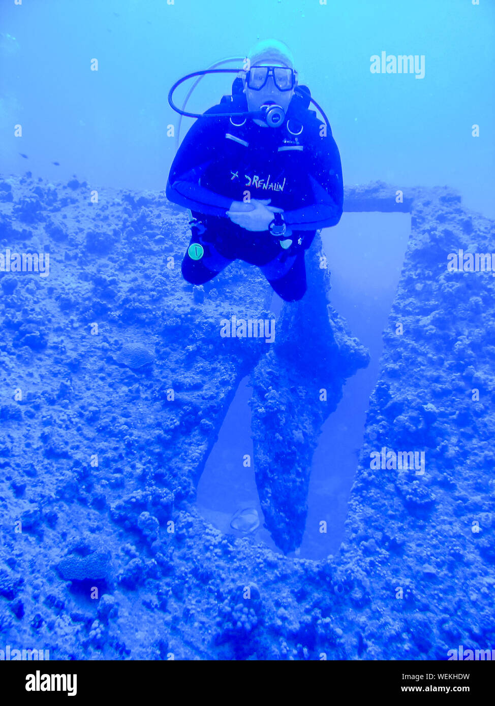 A scuba diver in the Red Sea, Egypt Stock Photo Alamy