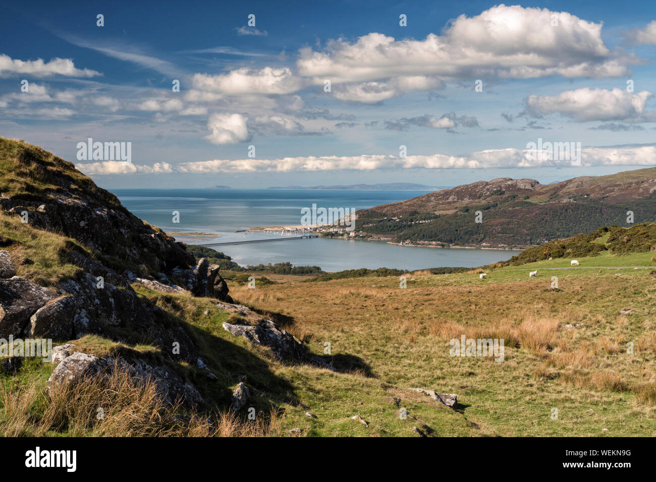 View of Barmouth, Barmouth railway bridge and the Mawddach Estuary from Cregennan Lakes Stock Photo