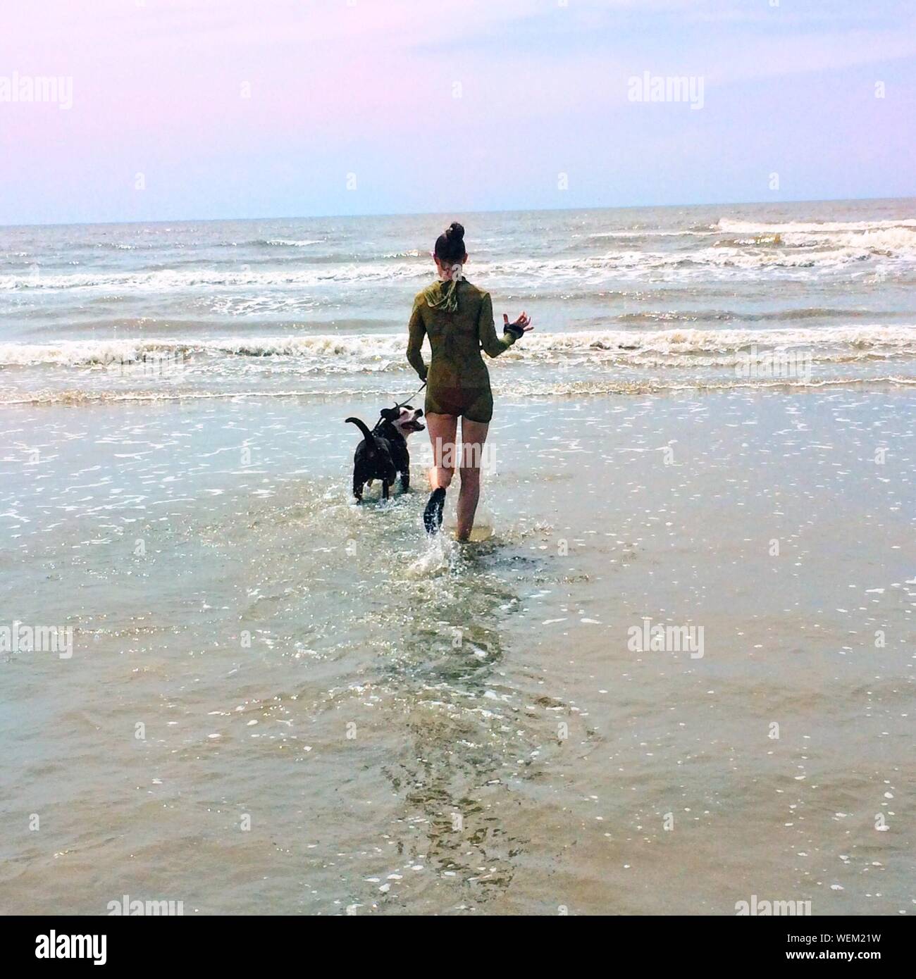 Woman walking dog beach hi-res stock photography and images - Alamy