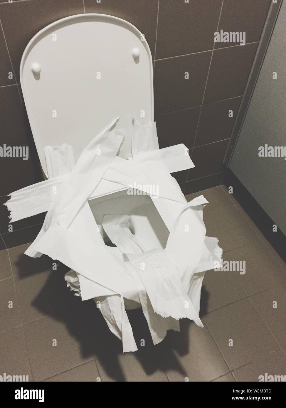 Tissue architecture hi-res stock photography and images - Alamy