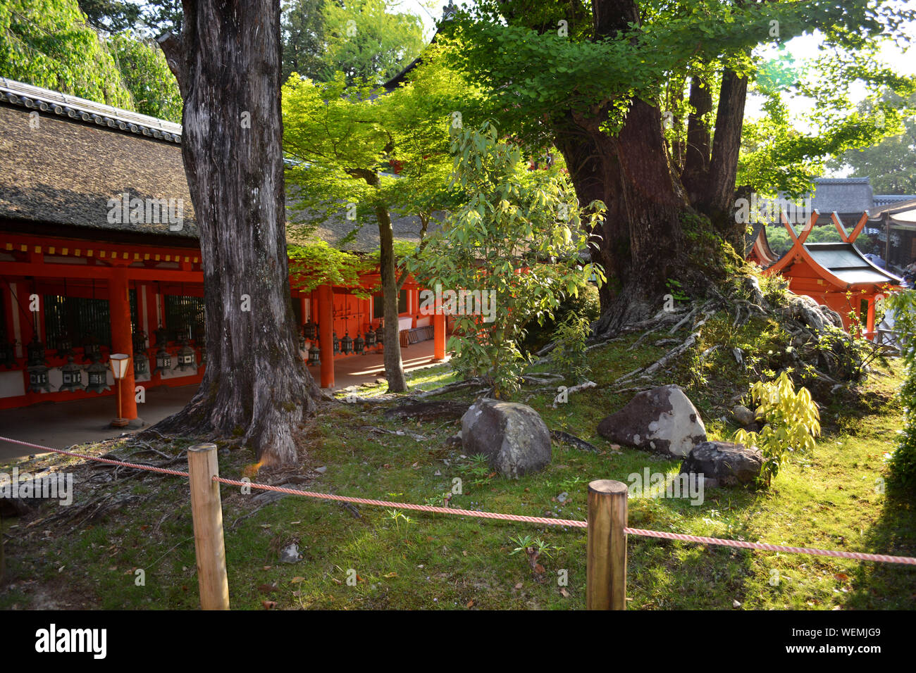Beautiful Japanese Shinto Shrine Garden in Summer Stock Photo - Alamy