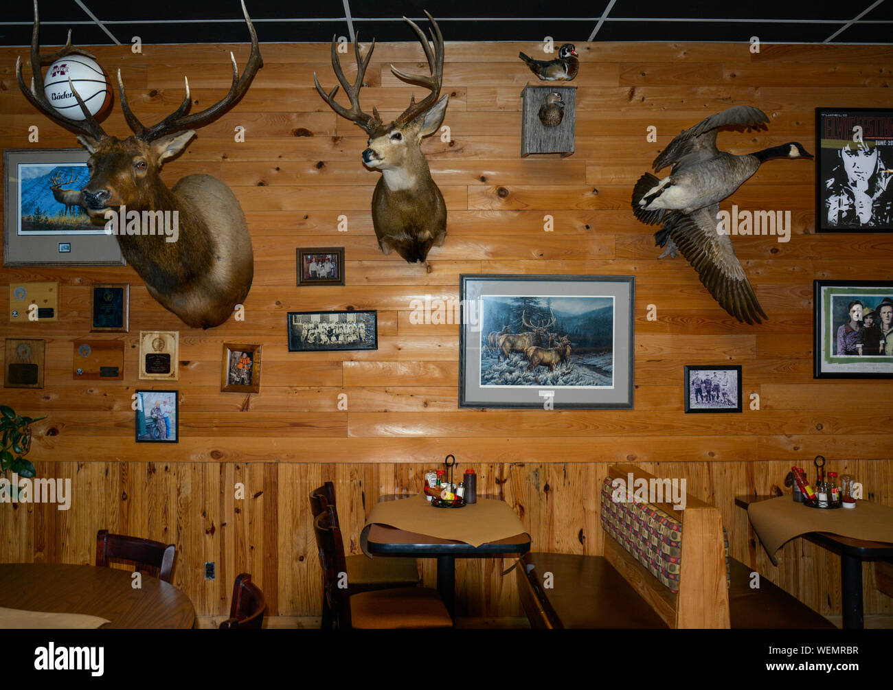 An Old Style Interior For Bar B Q By Jim With Deer Head Wall