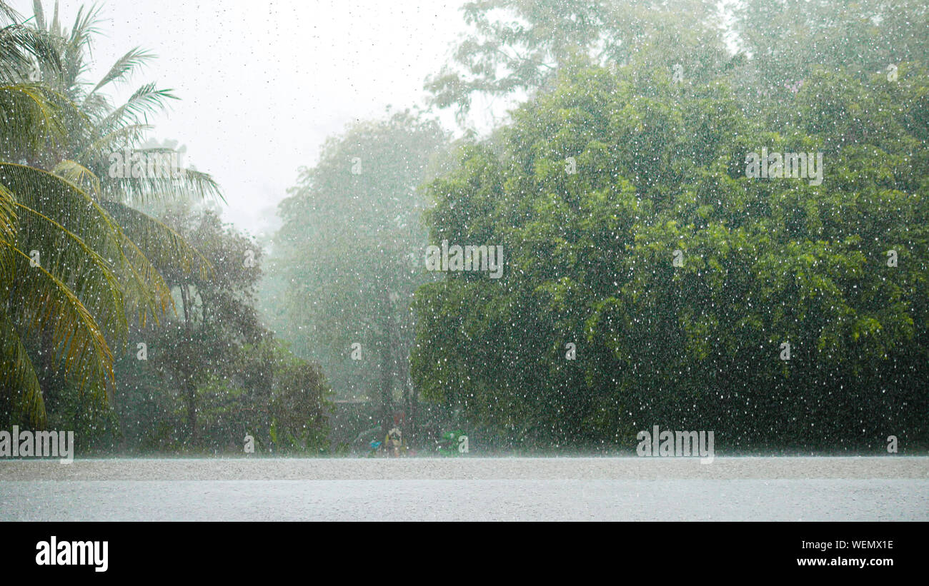 Heavy Rain In The Beautiful Landscape And Nature Of The Rain