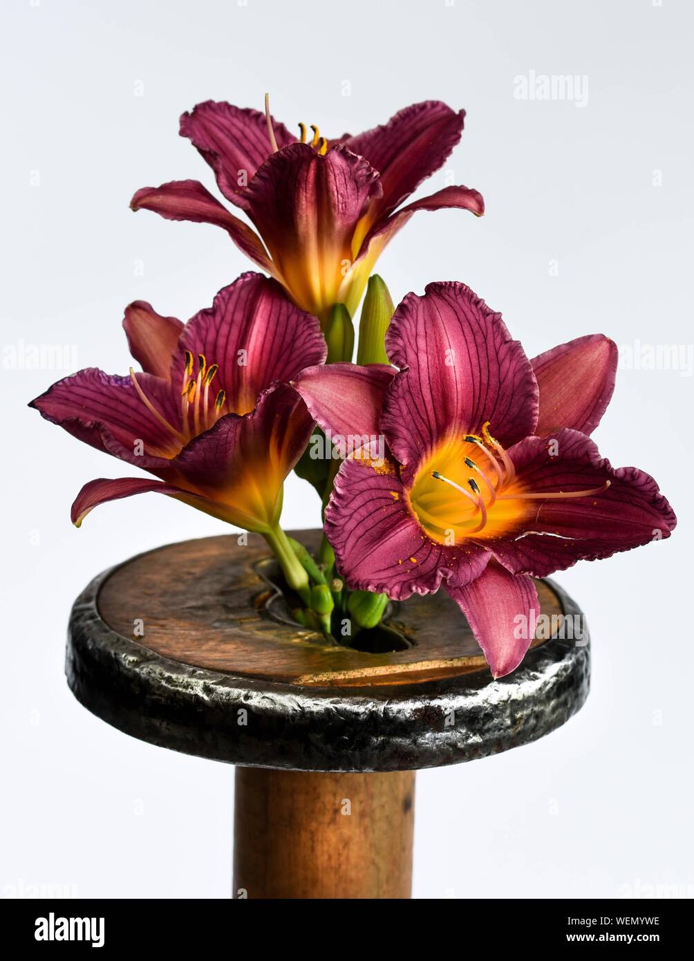 Lilies On Wooden Stool Against White Wall Stock Photo