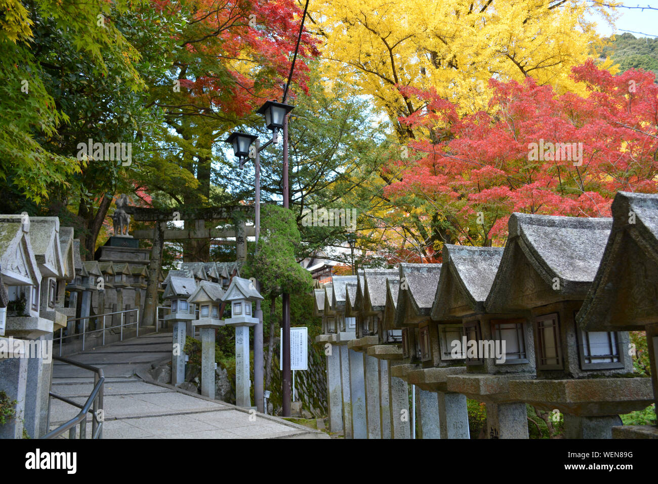 Path to Japanese Temple with Colourful Trees Stock Photo