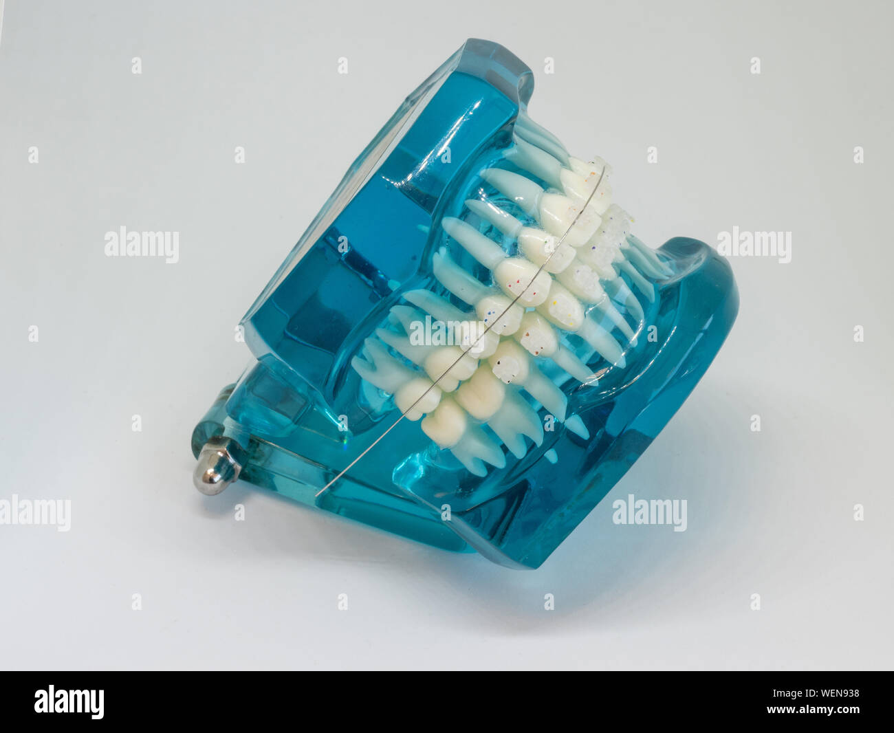 Artificial teeth hires stock photography and images Alamy