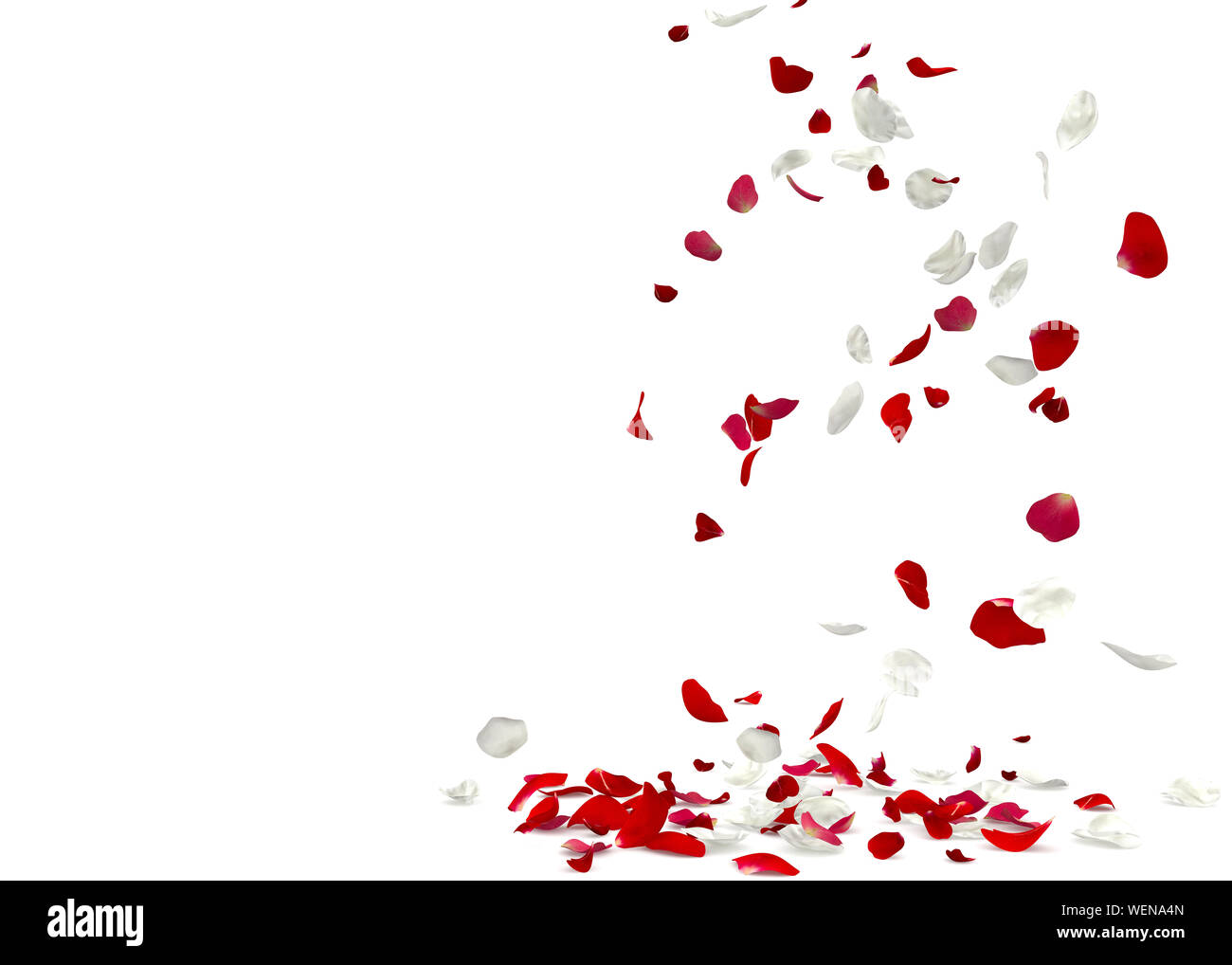 Rose petals falling hi-res stock photography and images - Alamy
