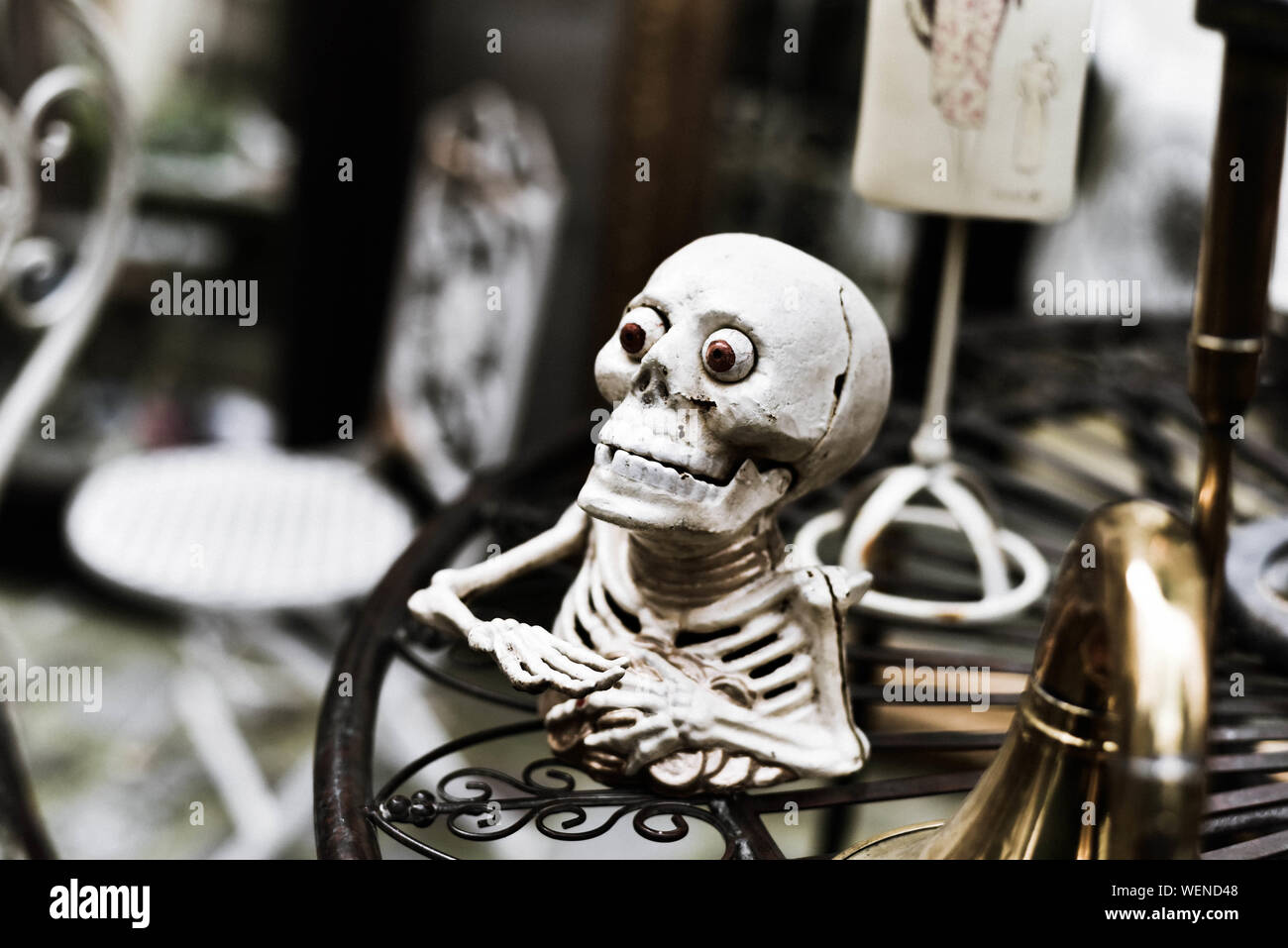 Skeleton Table High Resolution Stock Photography And Images Alamy