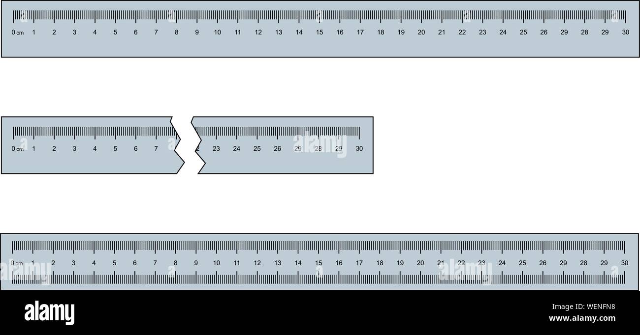 30 cm or 300 mm ruler set vector illustration Stock Vector