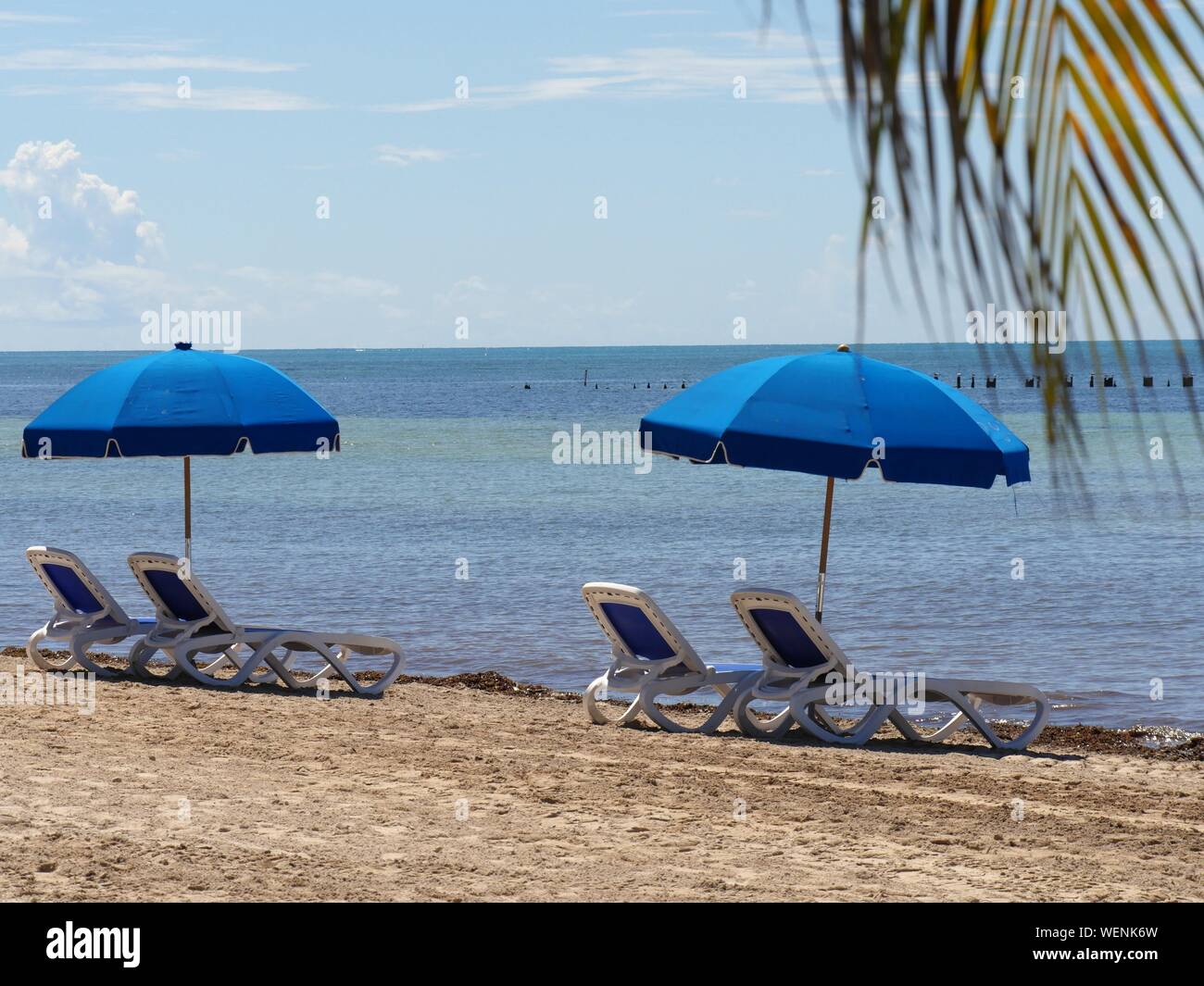 Blue loungers and umbrella at Hicks Beach along S. Roosevelt Boulevard