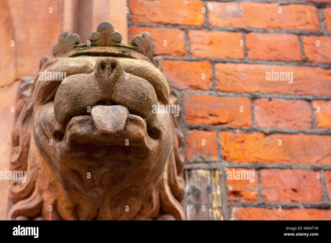 Crowned lion or dog carved as a stone head as a gargoyle - a cheeky guardian with outstretched tongue Stock Photo