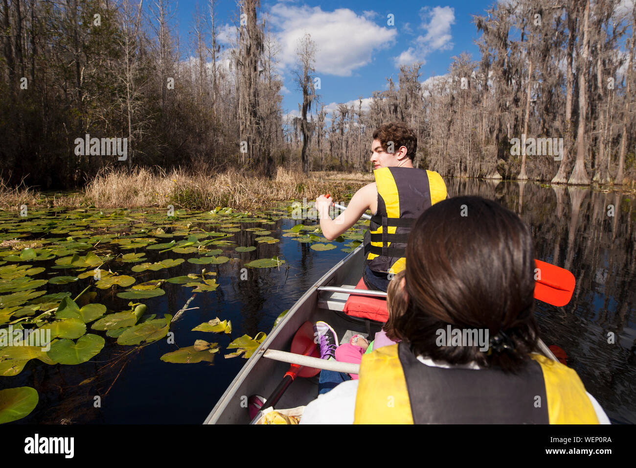 Family paddling together on cypress pond, view from inside boat Stock Photo