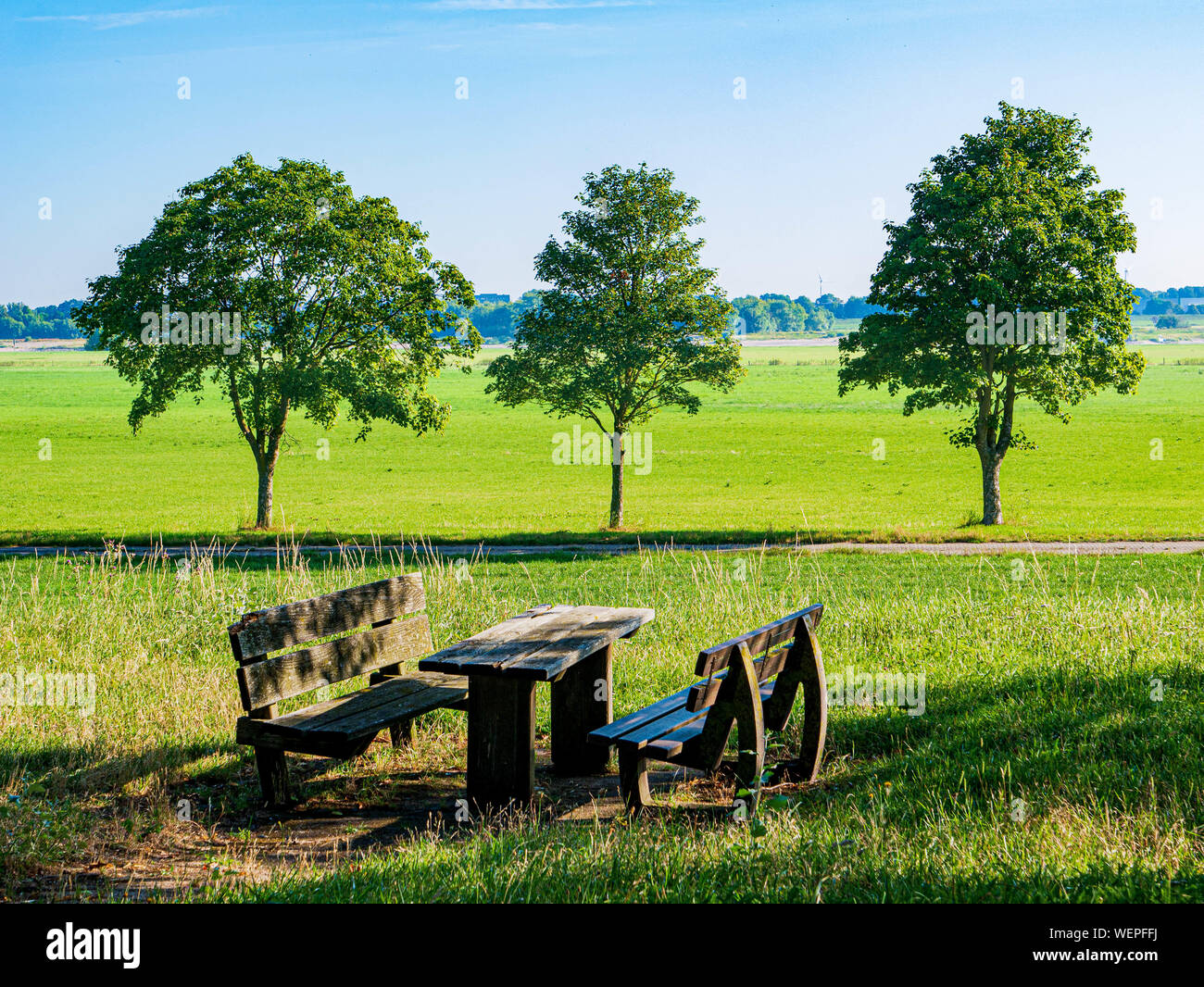 Grass green farmland with bench in the foreground and three trees behind Stock Photo