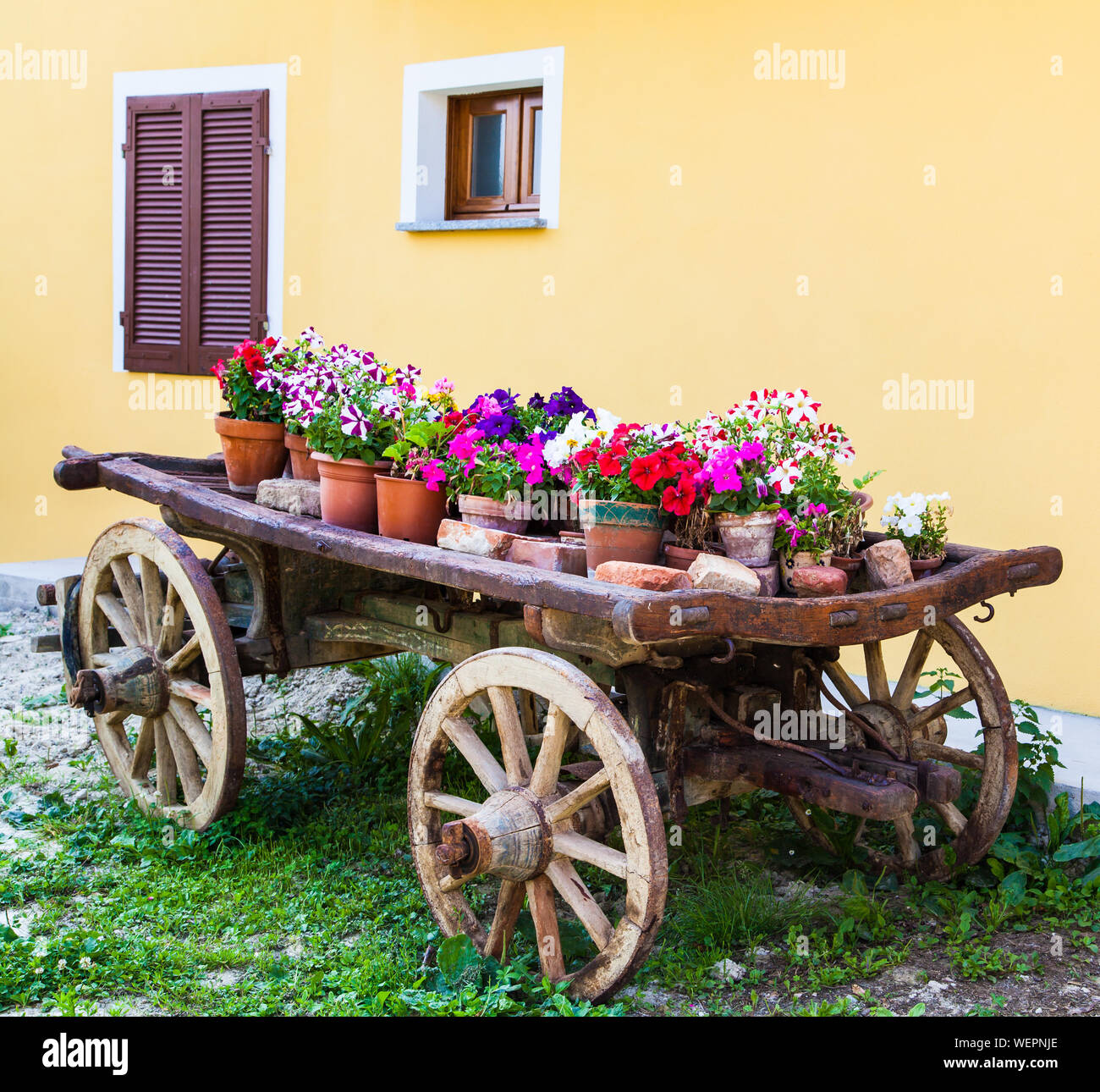 Various Potted Flower Plants On Cart For Sale Stock Photo Alamy