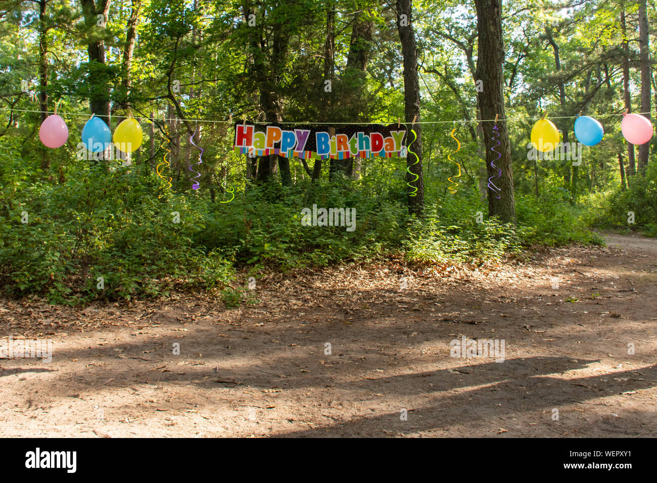 Happy Birthday sign panorama in the outdoor trees with balloons ...