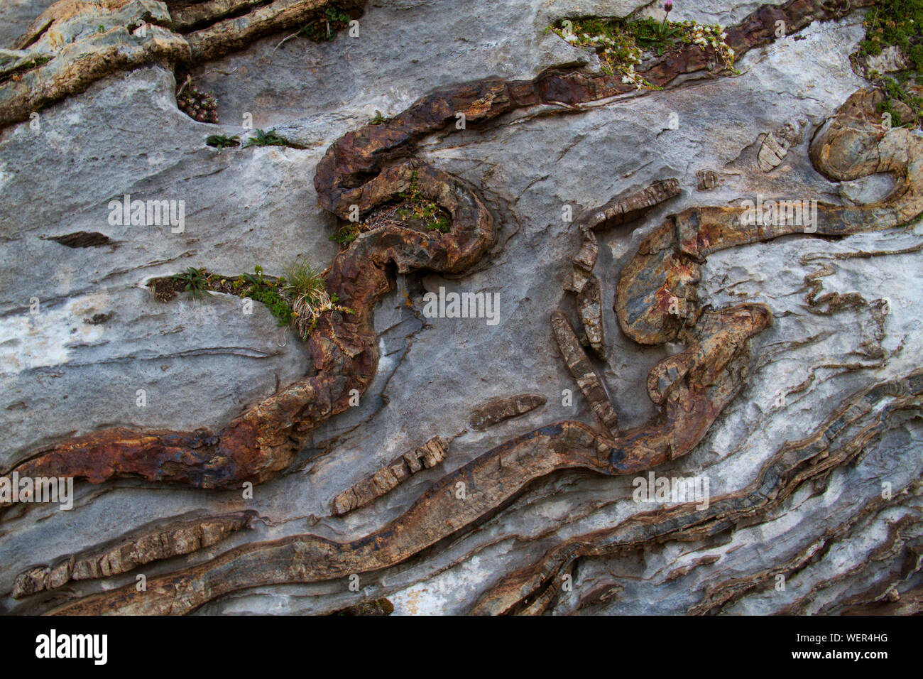 Deformed, curved layers in rock Stock Photo