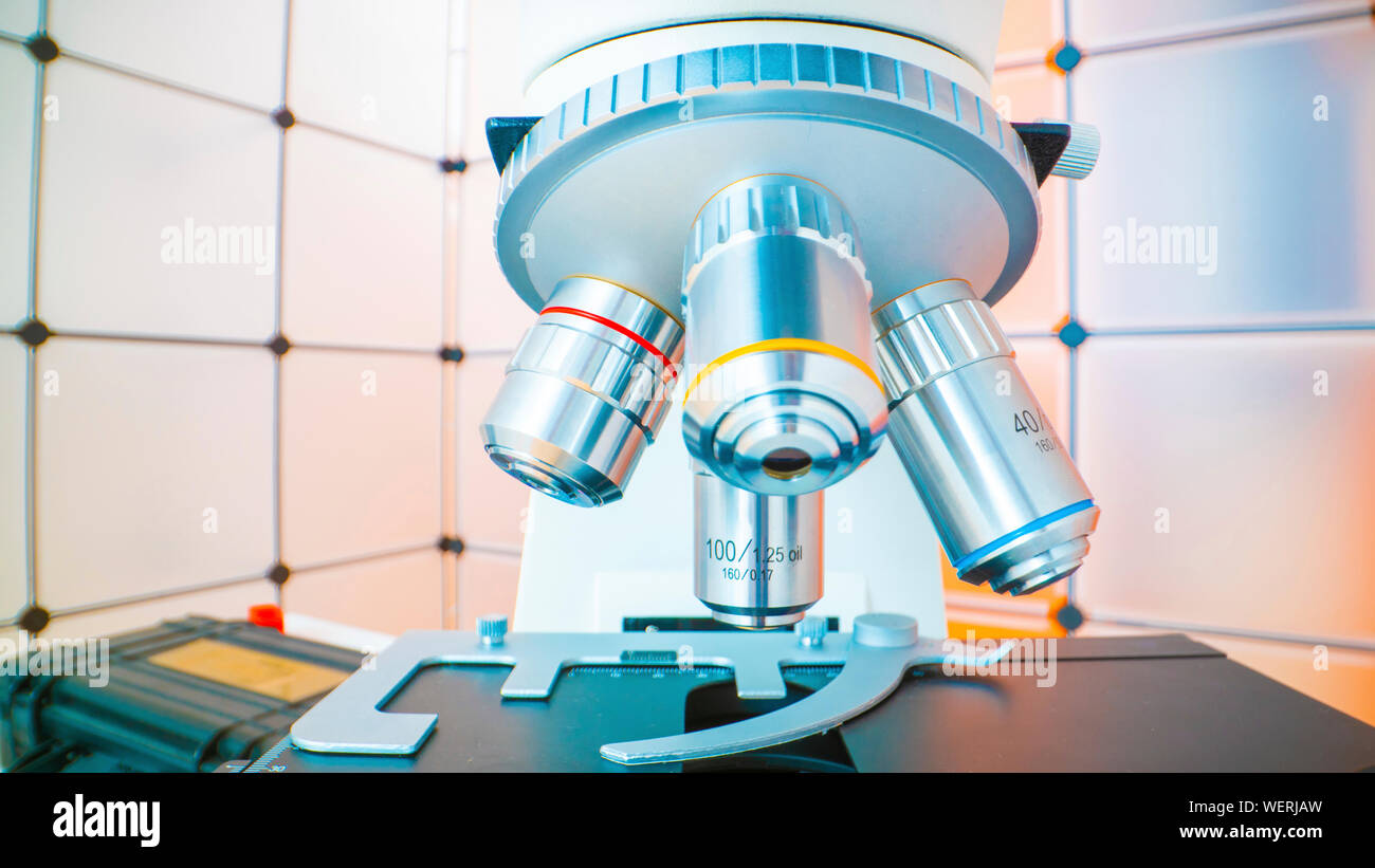 lenses in light microscope