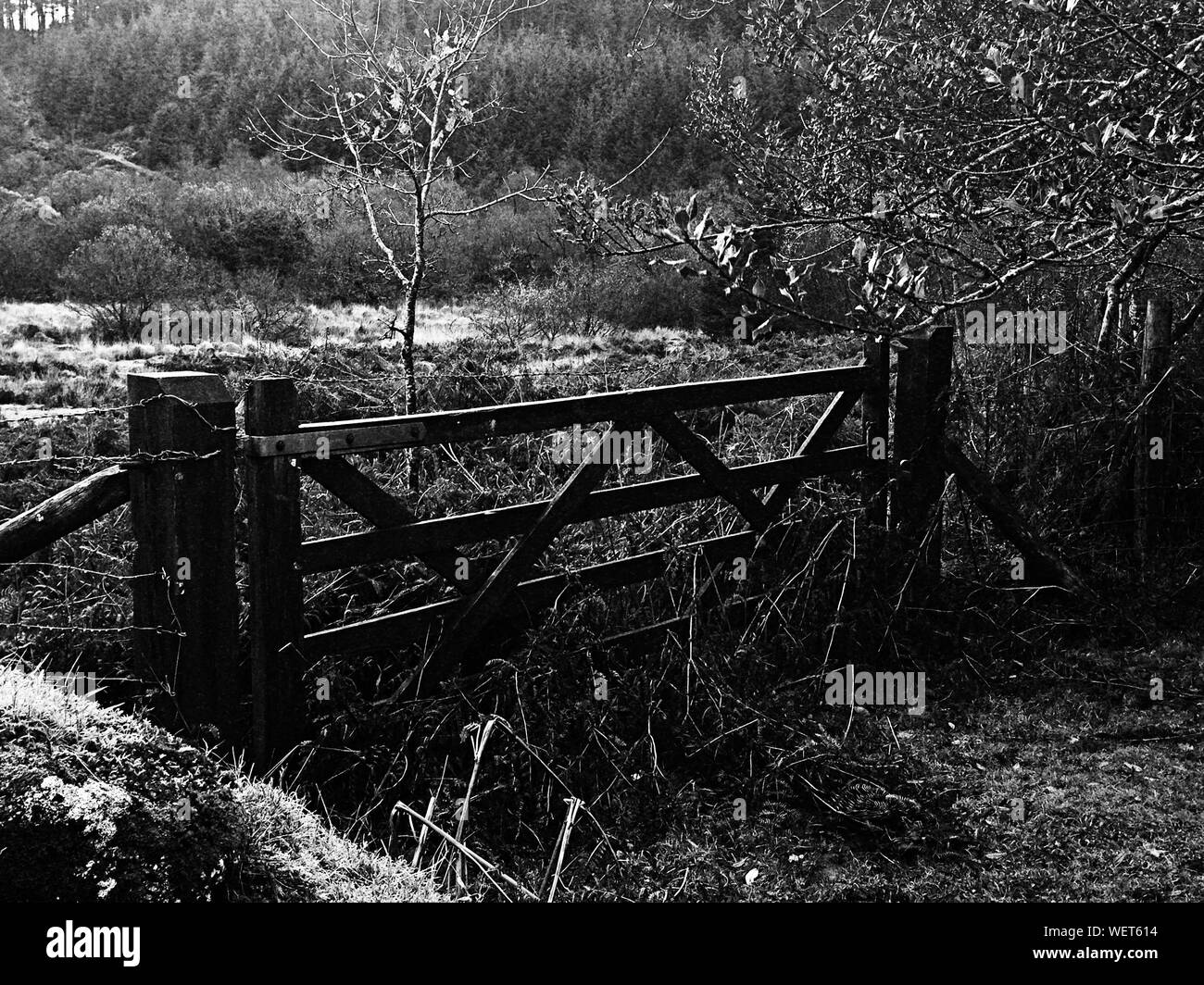 Wooden Gate On Field Stock Photo Alamy