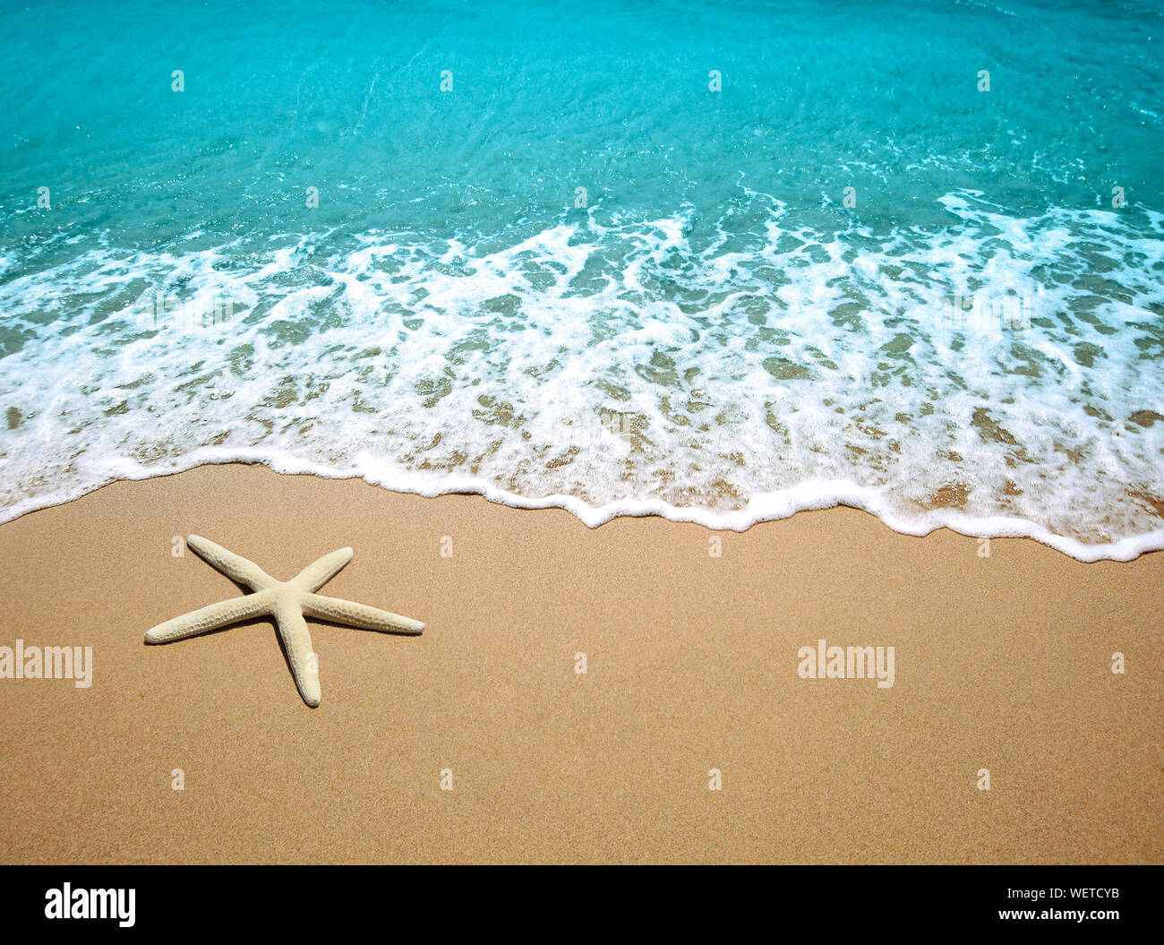 Starfish on beach sand Stock Photo