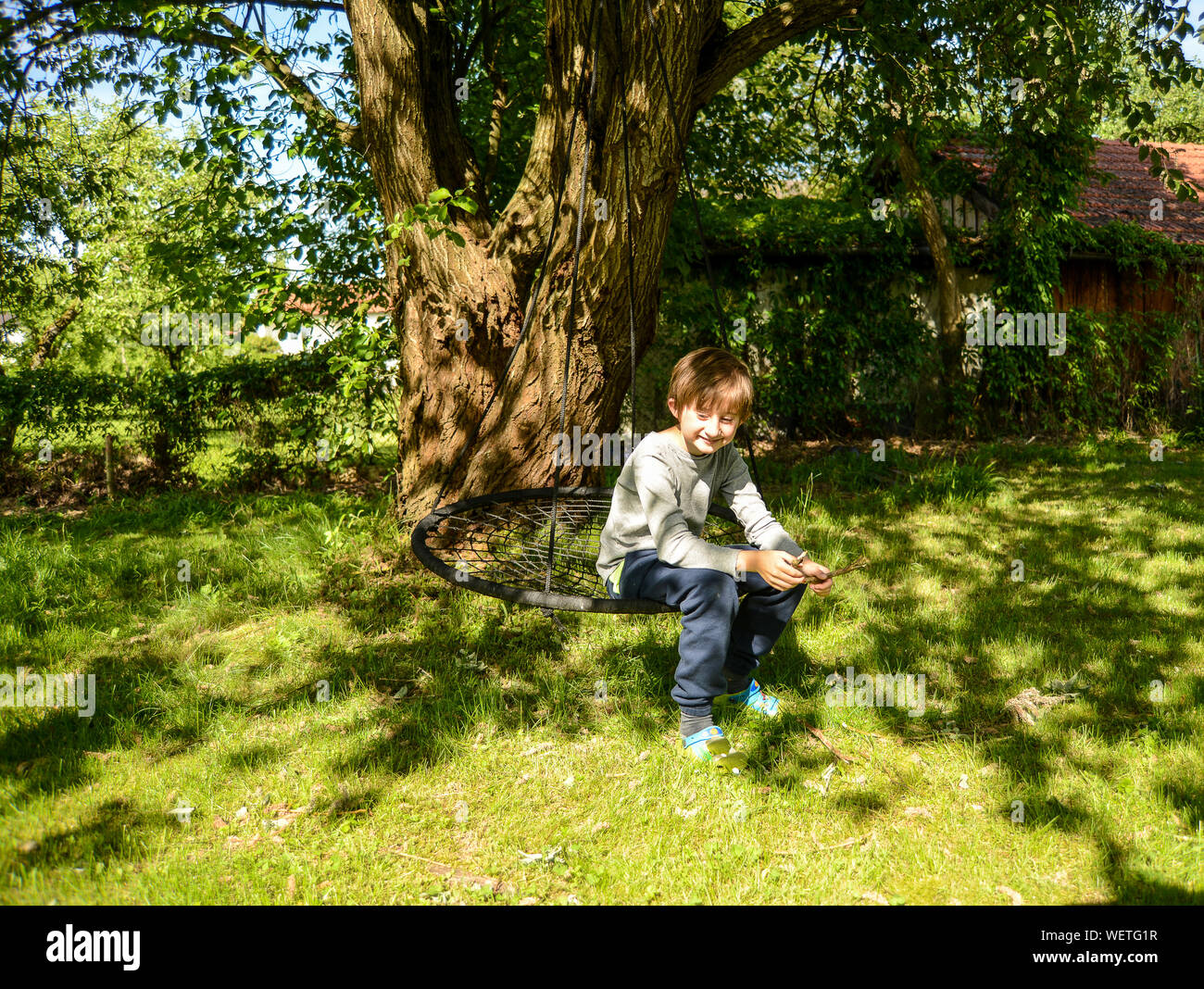 Happy Boy Sitting On Swing At Backyard Stock Photo Alamy