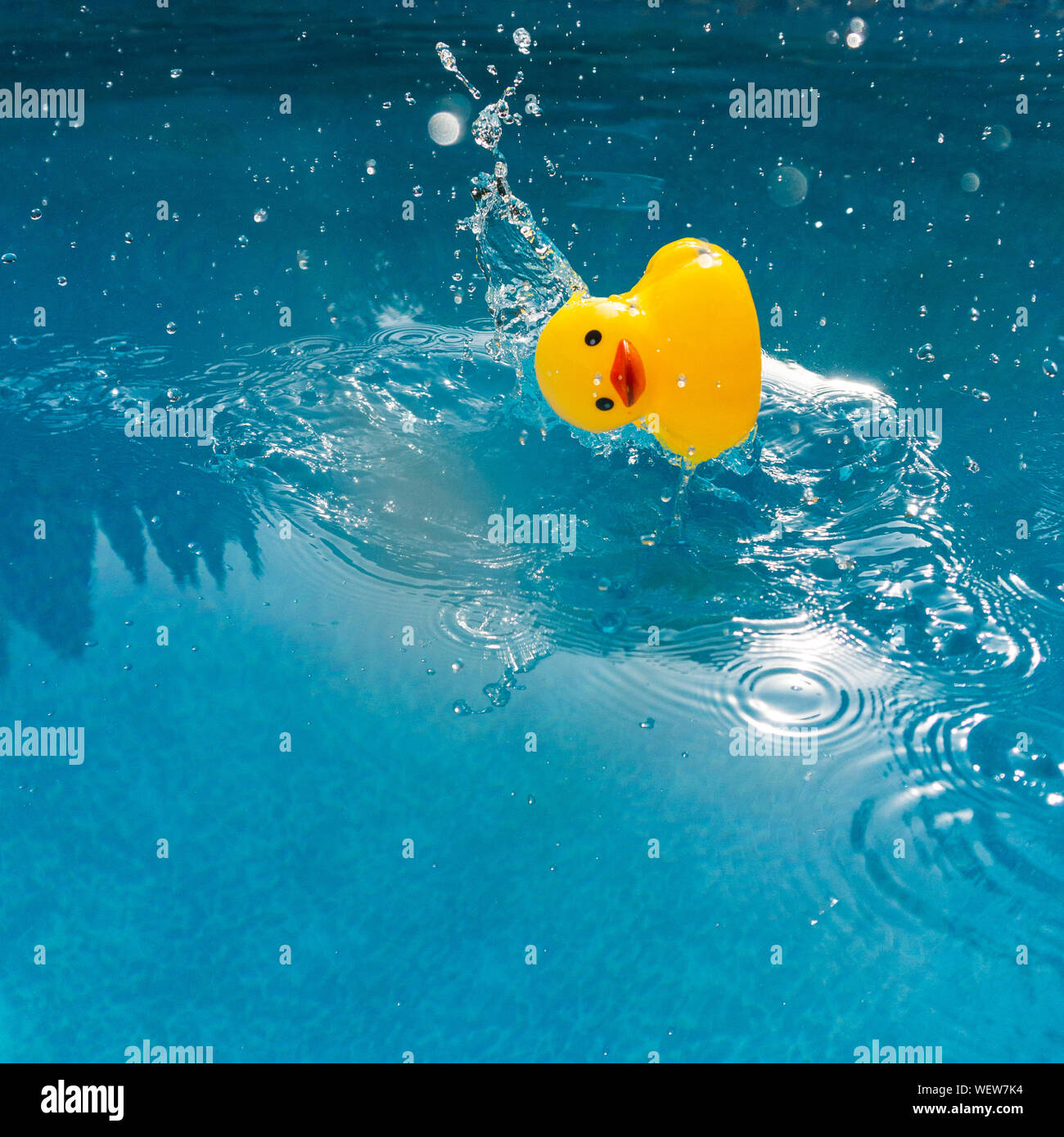 Yellow rubber duck falling sideways into water with a splash Stock Photo