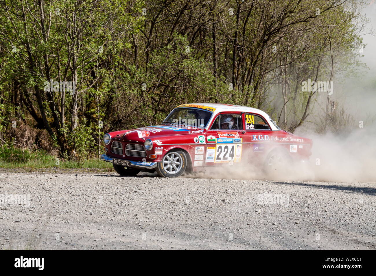 A Volvo Amazon rally car races through Dyfnant forest on the Plains Rally  in North Wales Stock Photo - Alamy