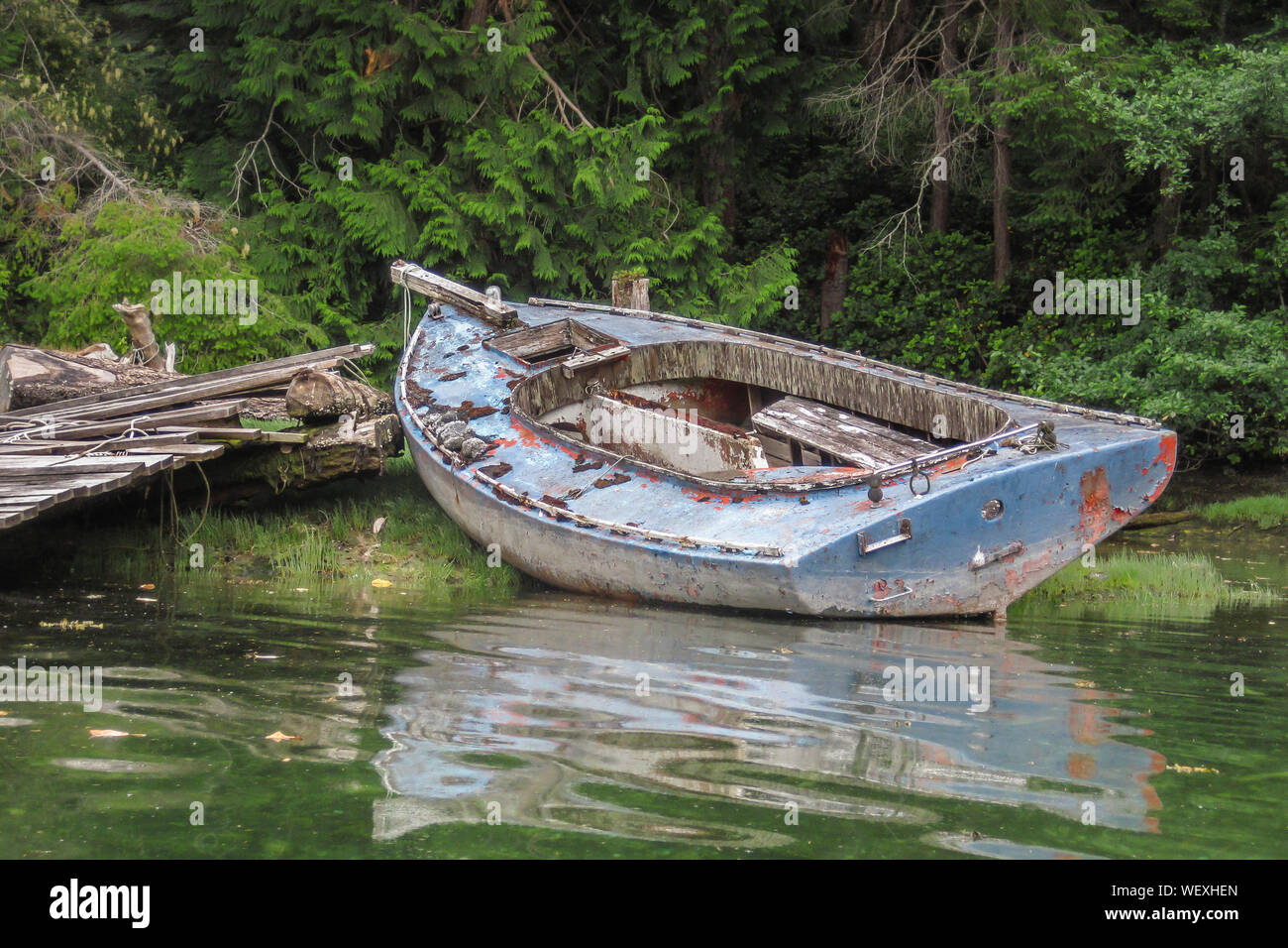 A derelict, stripped down old dayboat sits partly on the grassy shore at a ramshackle dock in a coastal lagoon beside the forest (British Columbia). Stock Photo