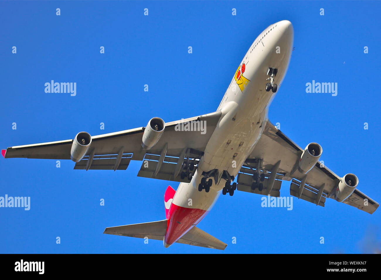 A Qantas Boeing 747 on final approach with wheels down and blue sky behind about to land in New York Stock Photo