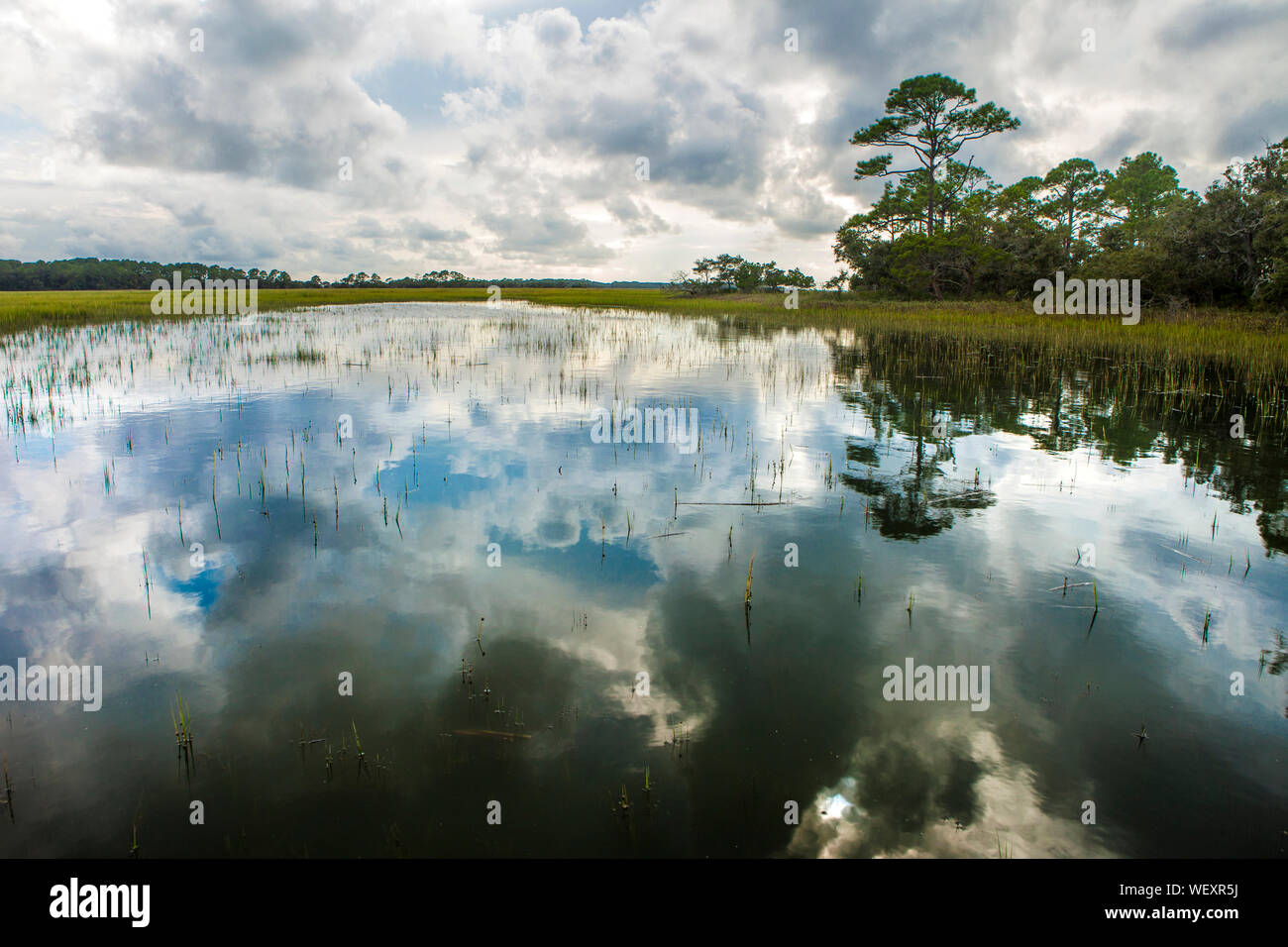 coastal estuary in South Carolina Stock Photo