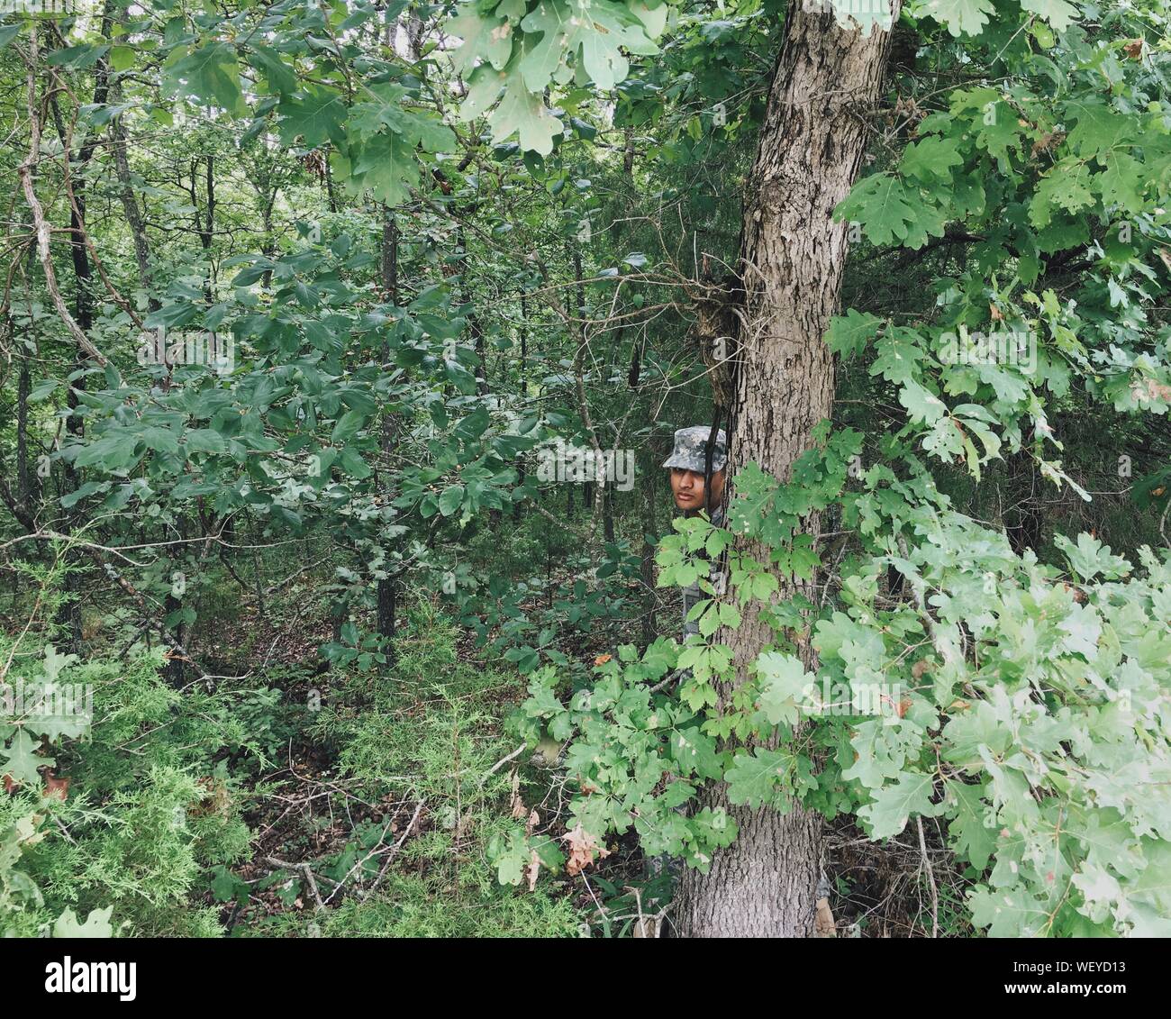 Army forest hi-res stock photography and images - Alamy
