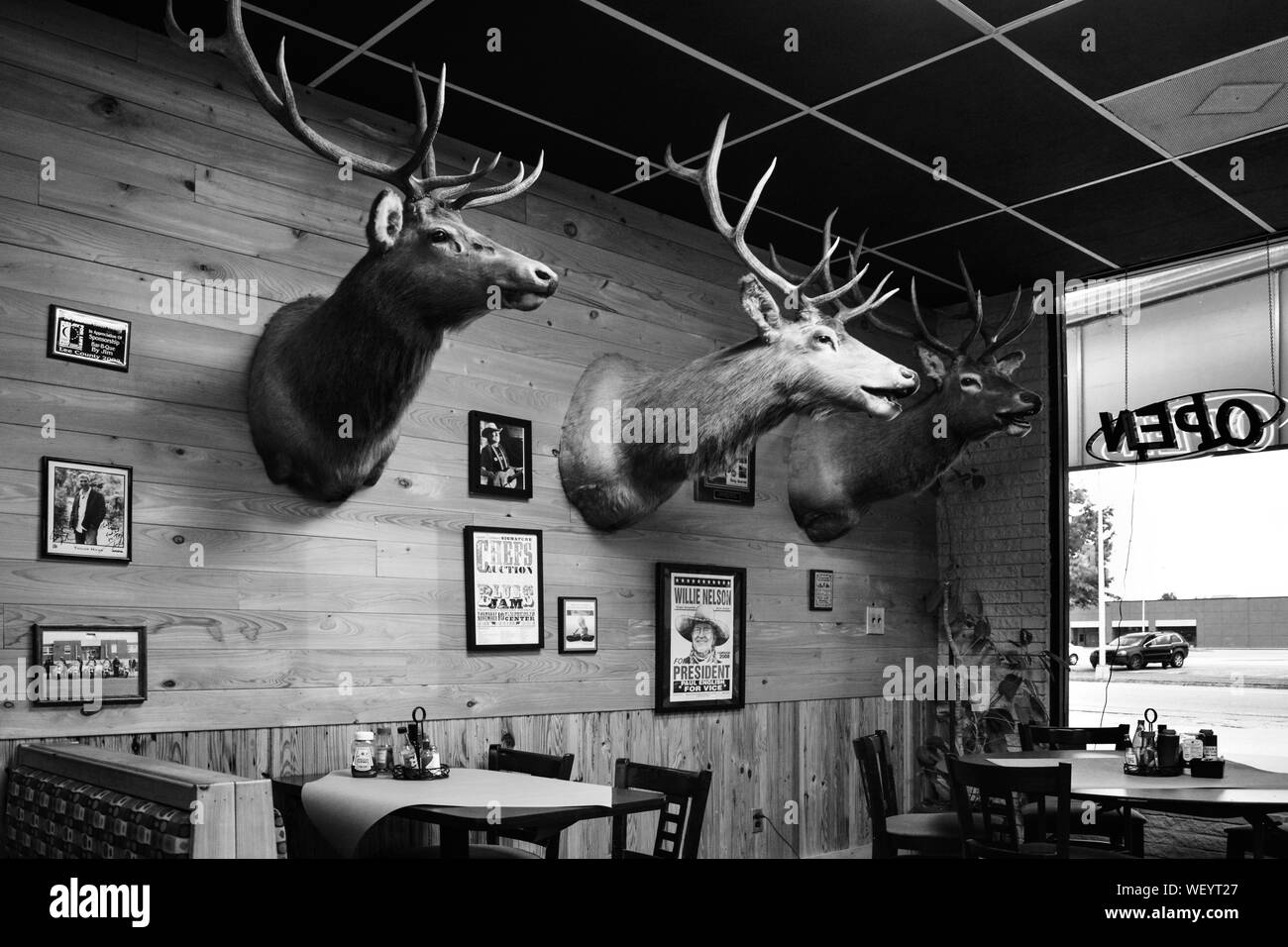 Open sign in Front window of an old style interior for Bar-B-Q by Jim restaurant, with deer head wall mounts as decor with photos in Tupelo, MS, USA Stock Photo