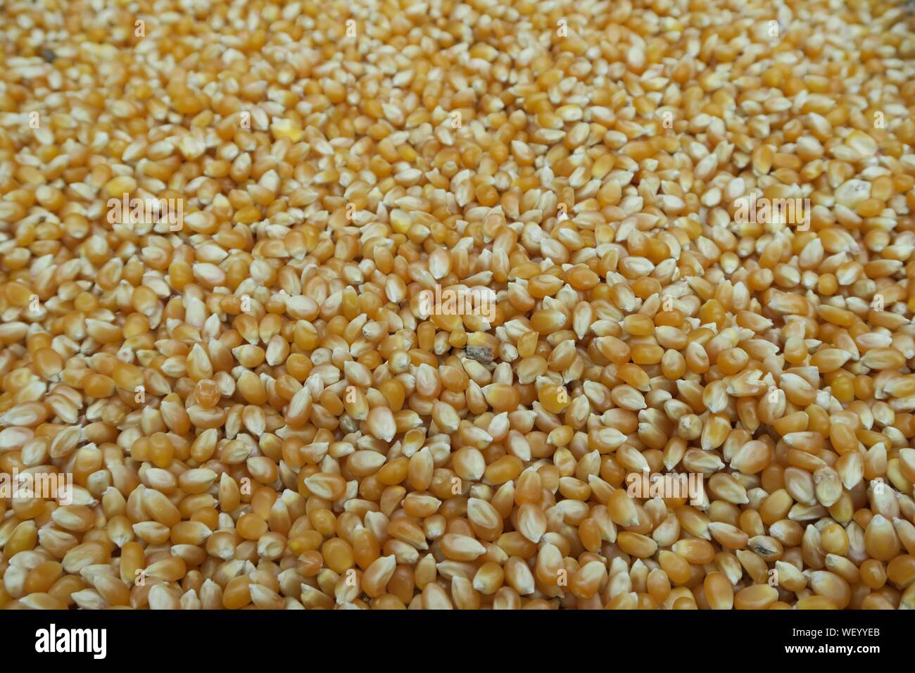 Popcorn with kernels hires stock photography and images Alamy