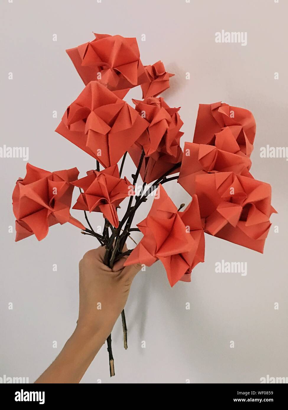 Origami Flowers Stock Photos Origami Flowers Stock Images