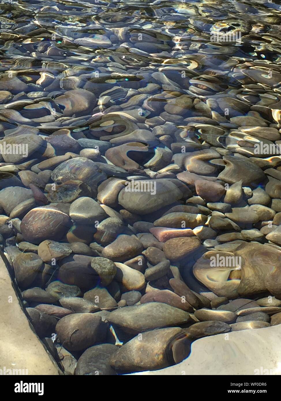 Pebbles In Water Stock Photo Alamy