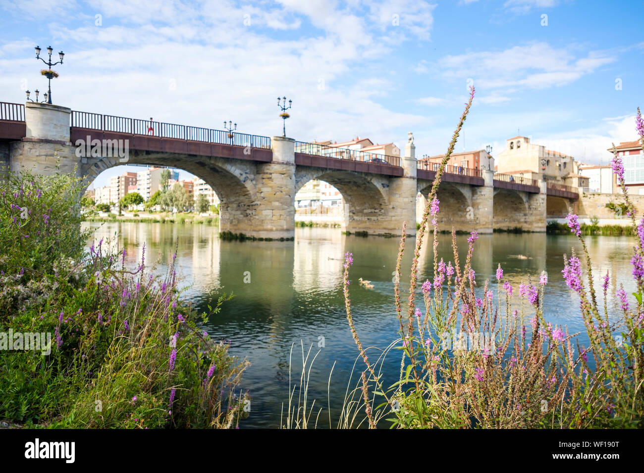 Historic Bridge of Carlos III over the River Ebro in Miranda del Ebro, Burgos Province, Spain Stock Photo