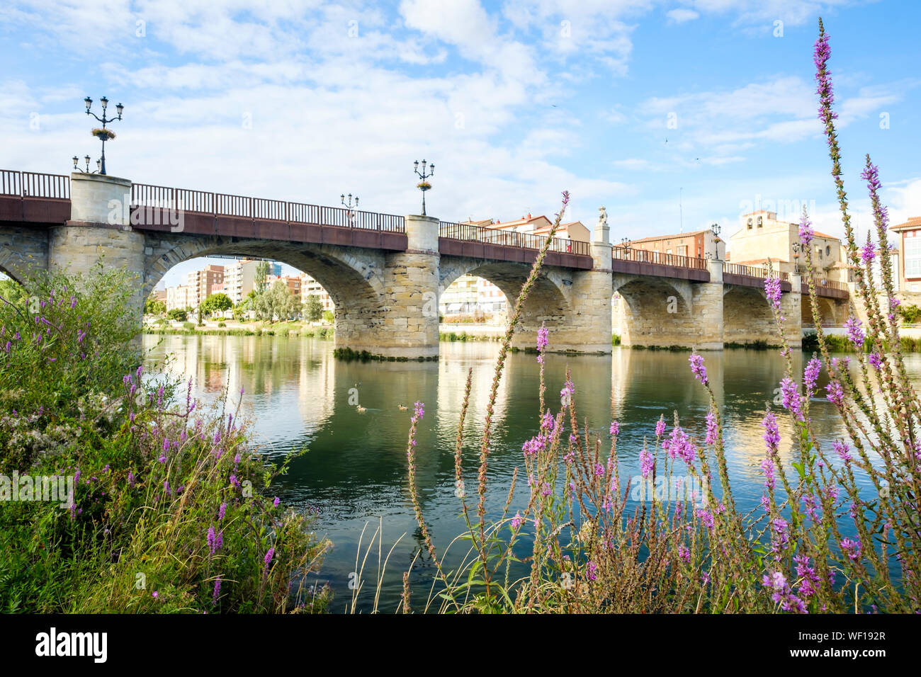 Historic Bridge of Carlos III over the River Ebro in Miranda del Ebro, Burgos Province, Spain Stock Photo