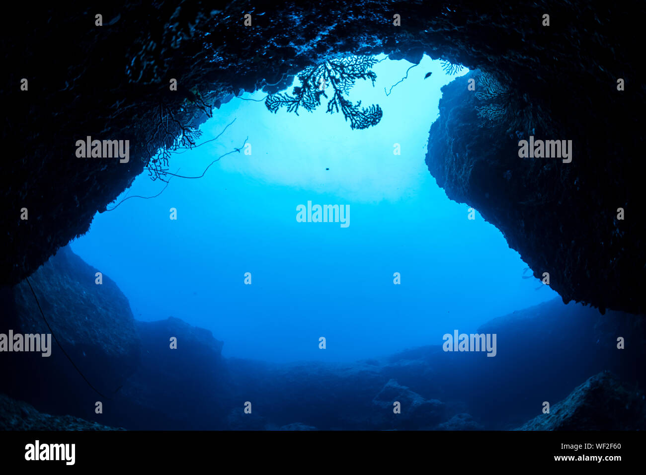 Scary Underwater Cave