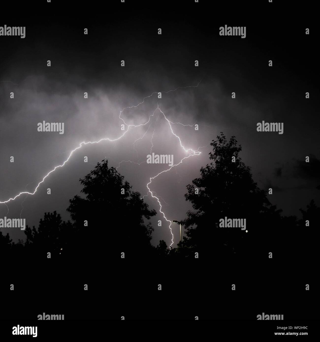 Lightning strike in tree hi-res stock photography and images - Alamy