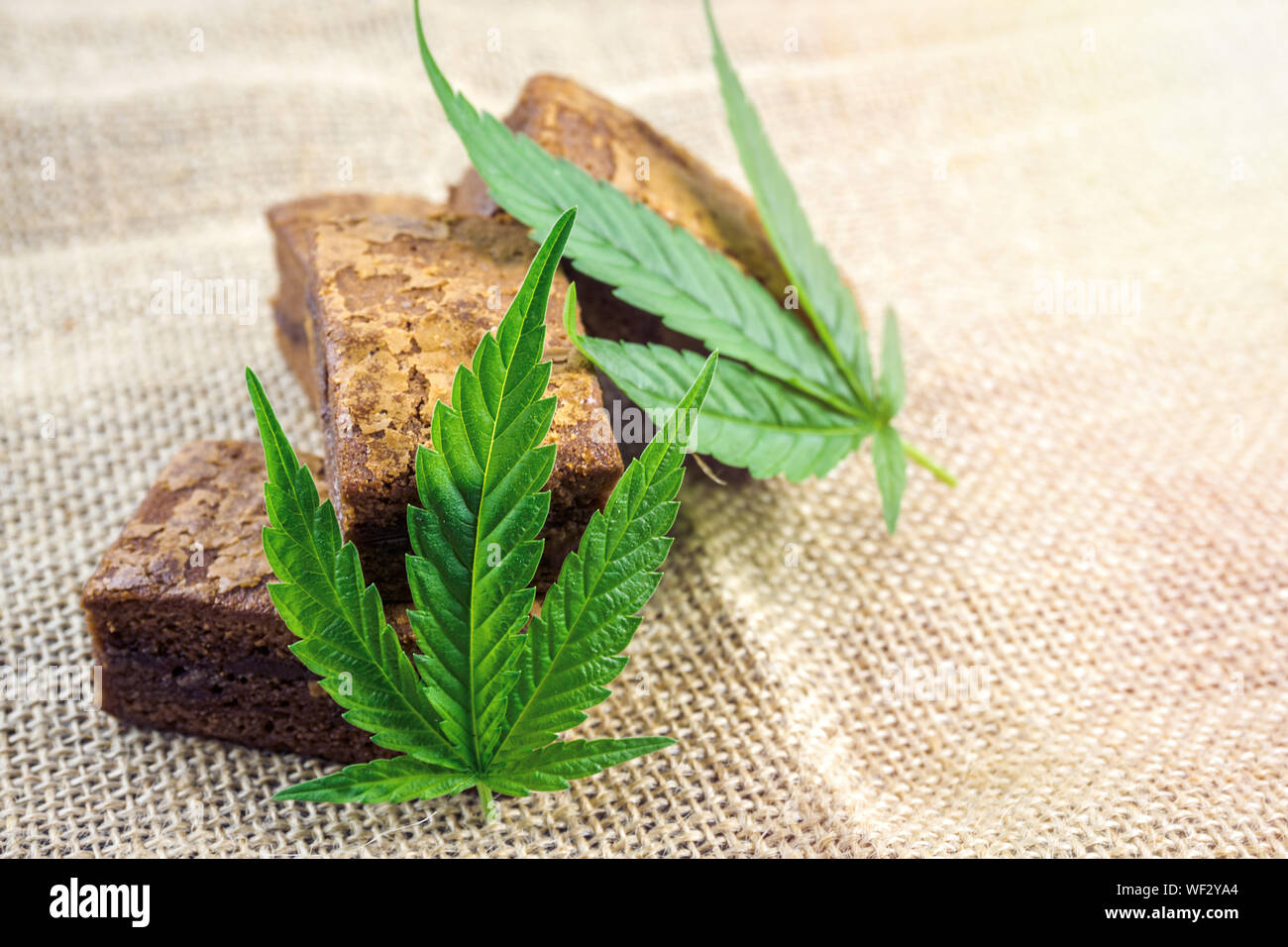 Cannabis Hash brownies with cannabis leaf on hemp cloth burlap Stock Photo
