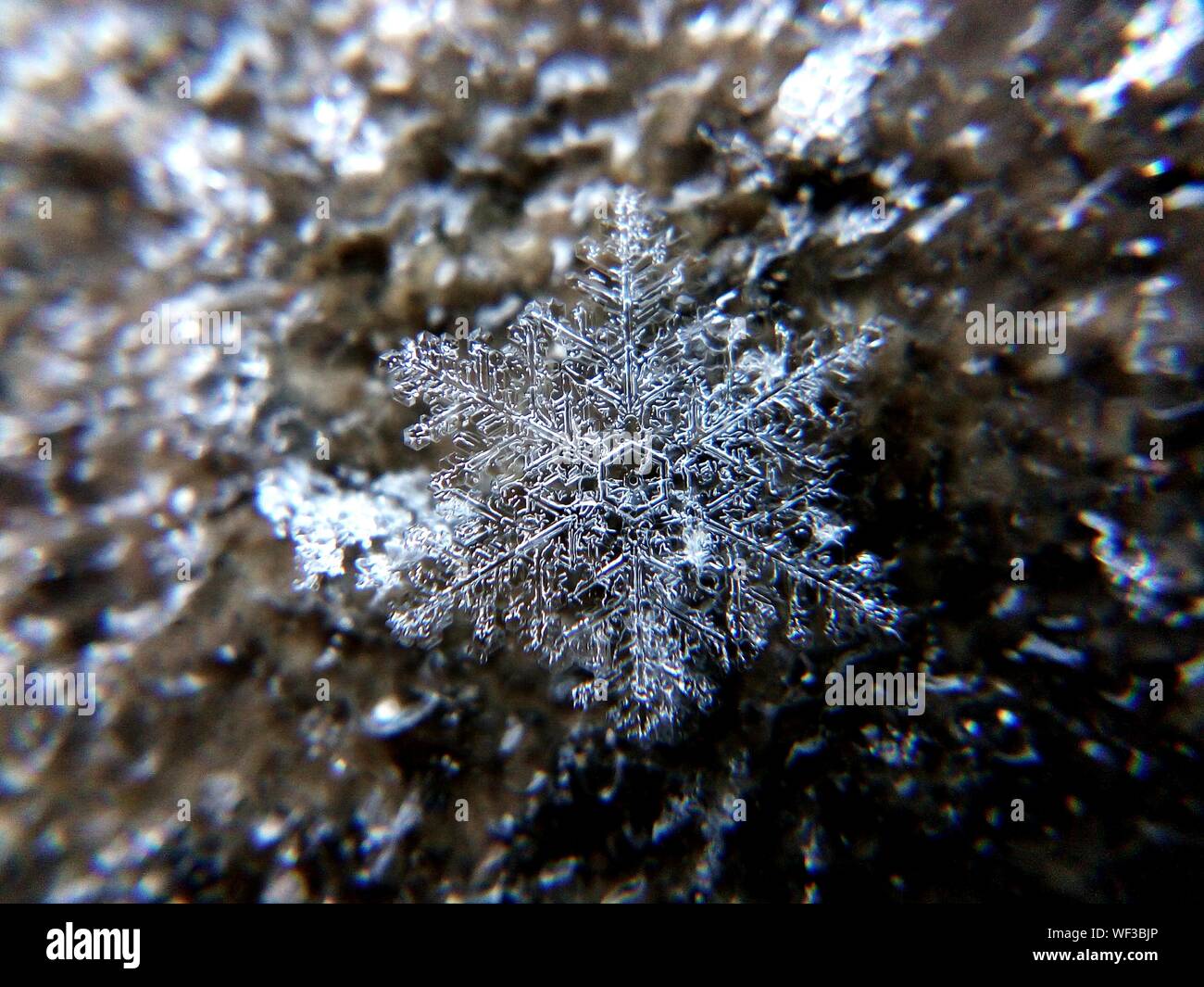 Close-up Of Snowflake Stock Photo