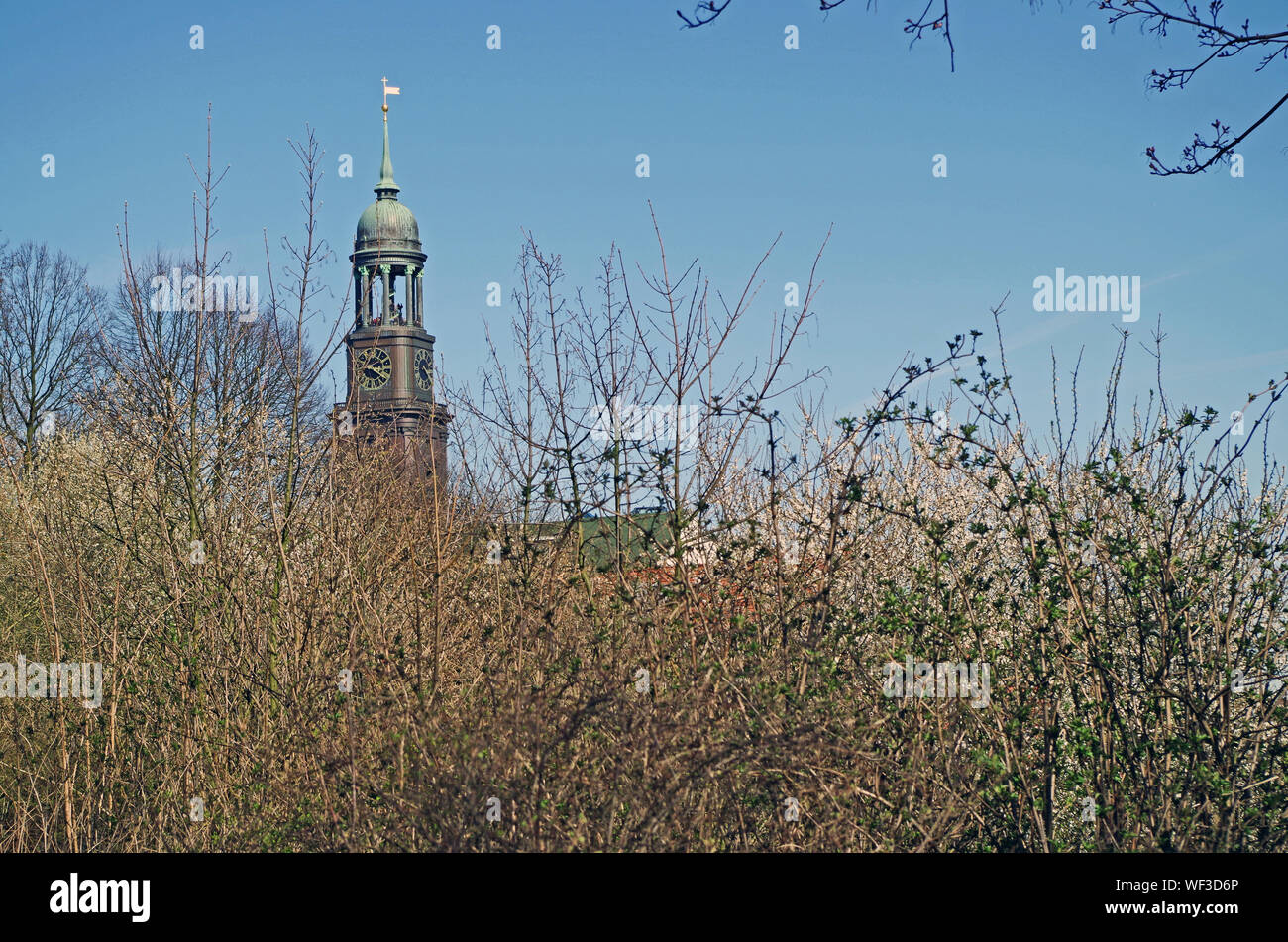 Low Angel View Of Plants By St Michael Church Against Clear Sky Stock Photo
