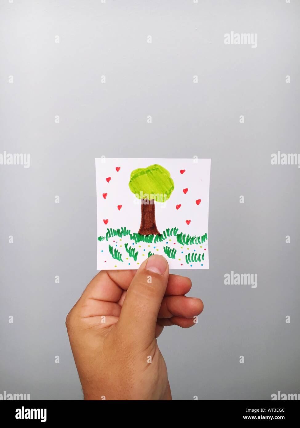 Drawing Hand Holding Tree High Resolution Stock Photography And Images Alamy Drawing Hand Holding Tree High Resolution Stock Photography And Images Alamy