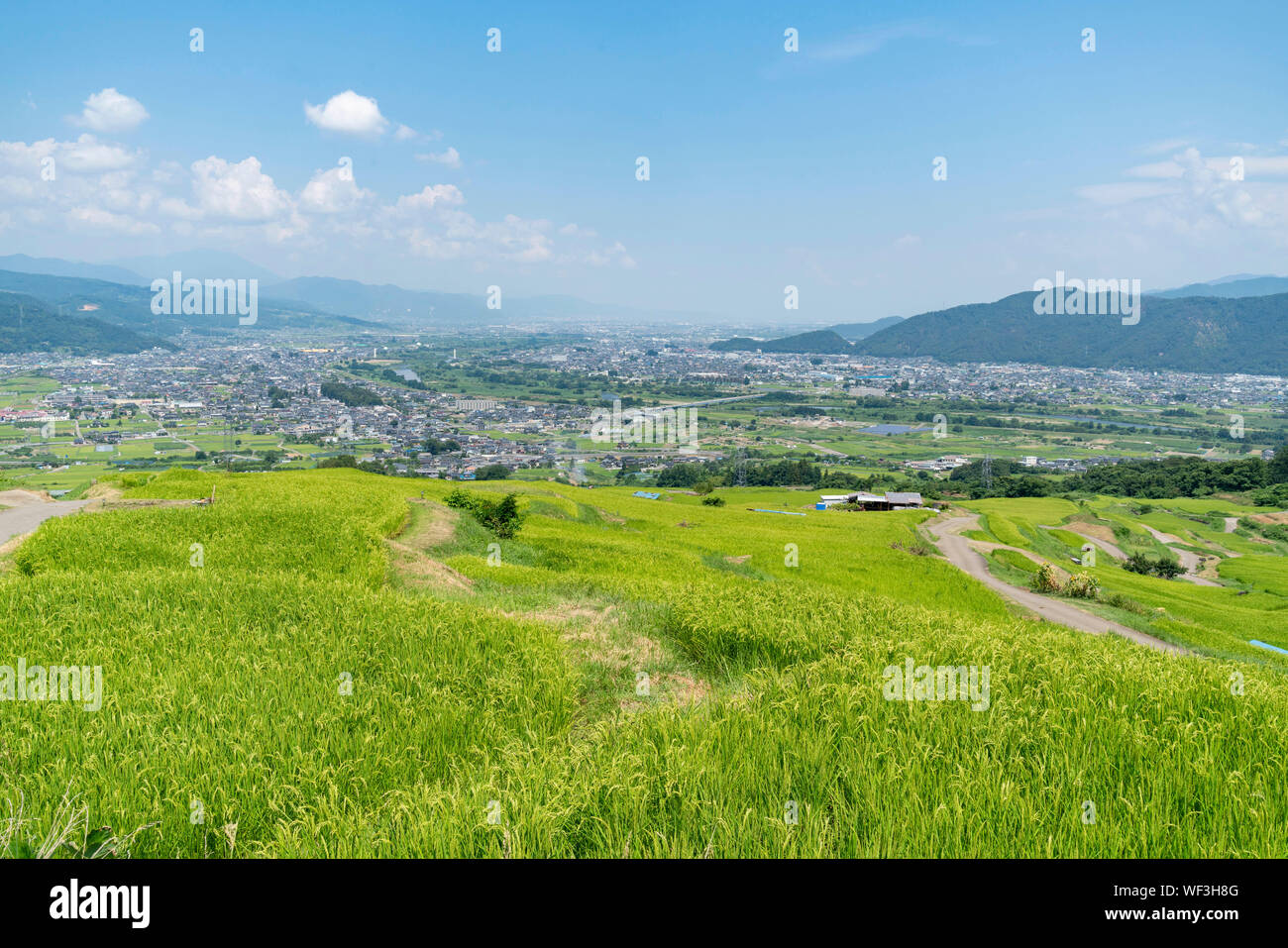 Obasute rice terrace, Chikuma City, Nagano Prefecture, Japan Stock Photo