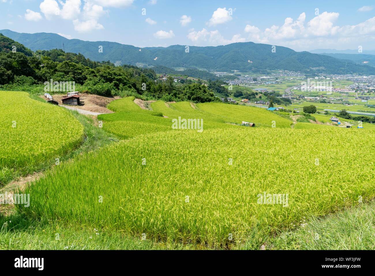 Obasute rice terrace, Chikuma City, Nagano Prefecture, Japan Stock Photo