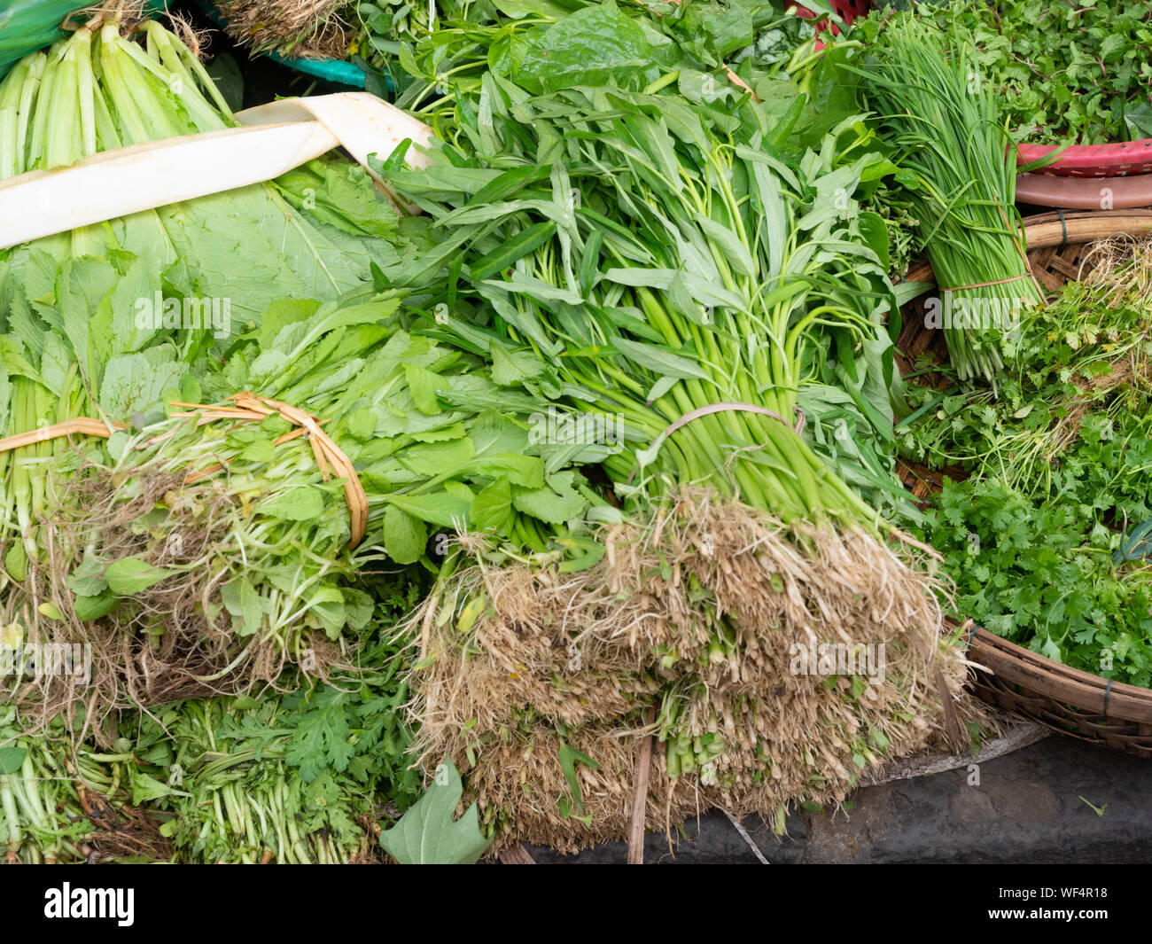 Water spinach, cilantro, lemon grass, and other leafy green vegetables at an outdoor market in Vietnam. Stock Photo