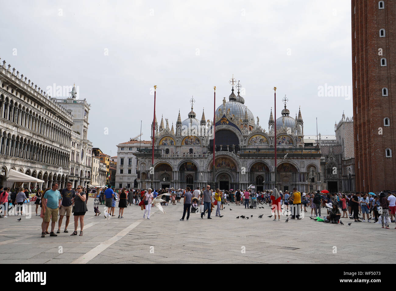 Piazza San Marco (St. Mark's Square), with tourists and Basilica di San Marco, Venice, Veneto, Italy Stock Photo