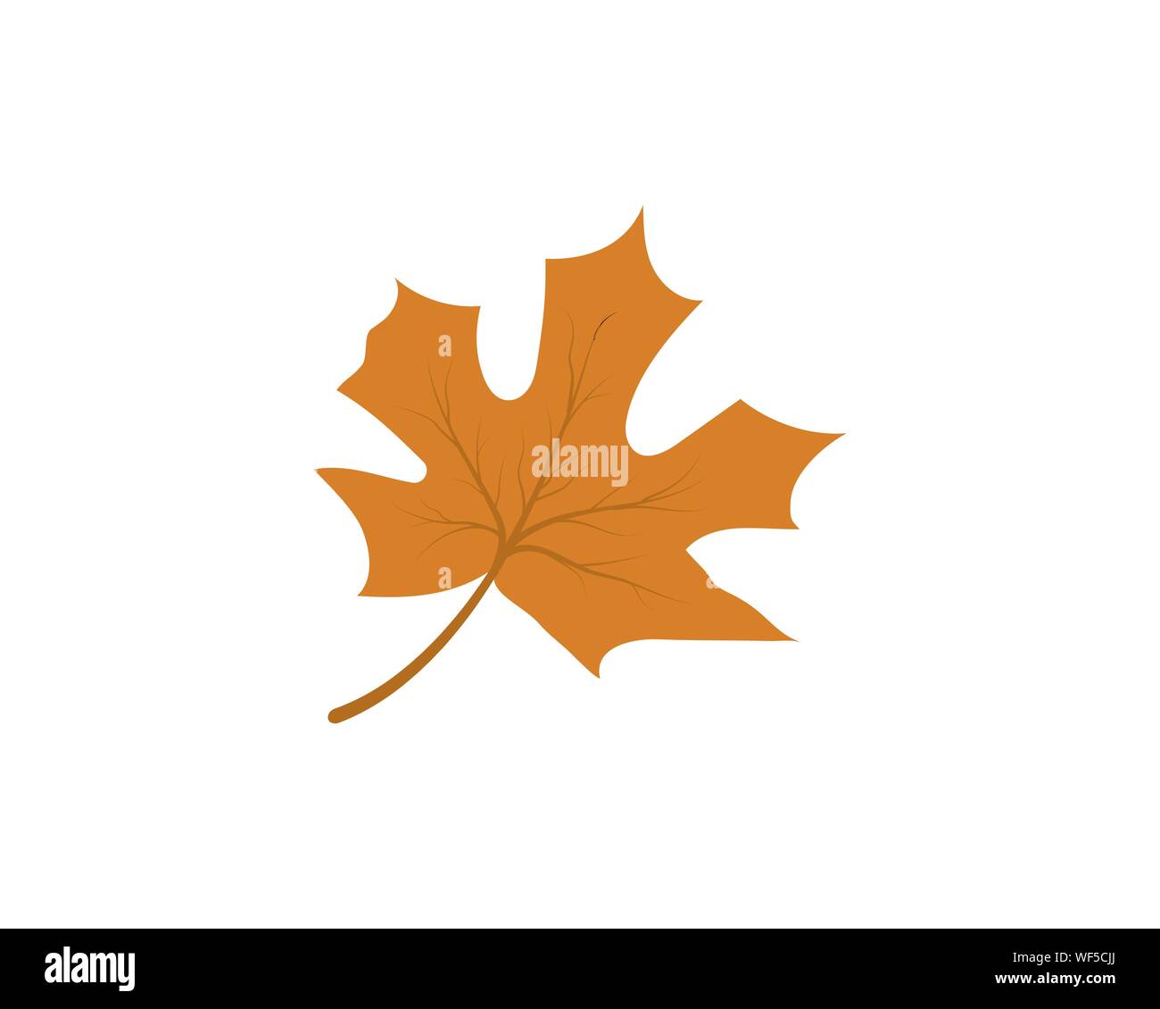 Maple leaf vector illustration design template Stock Vector Image & Art ...