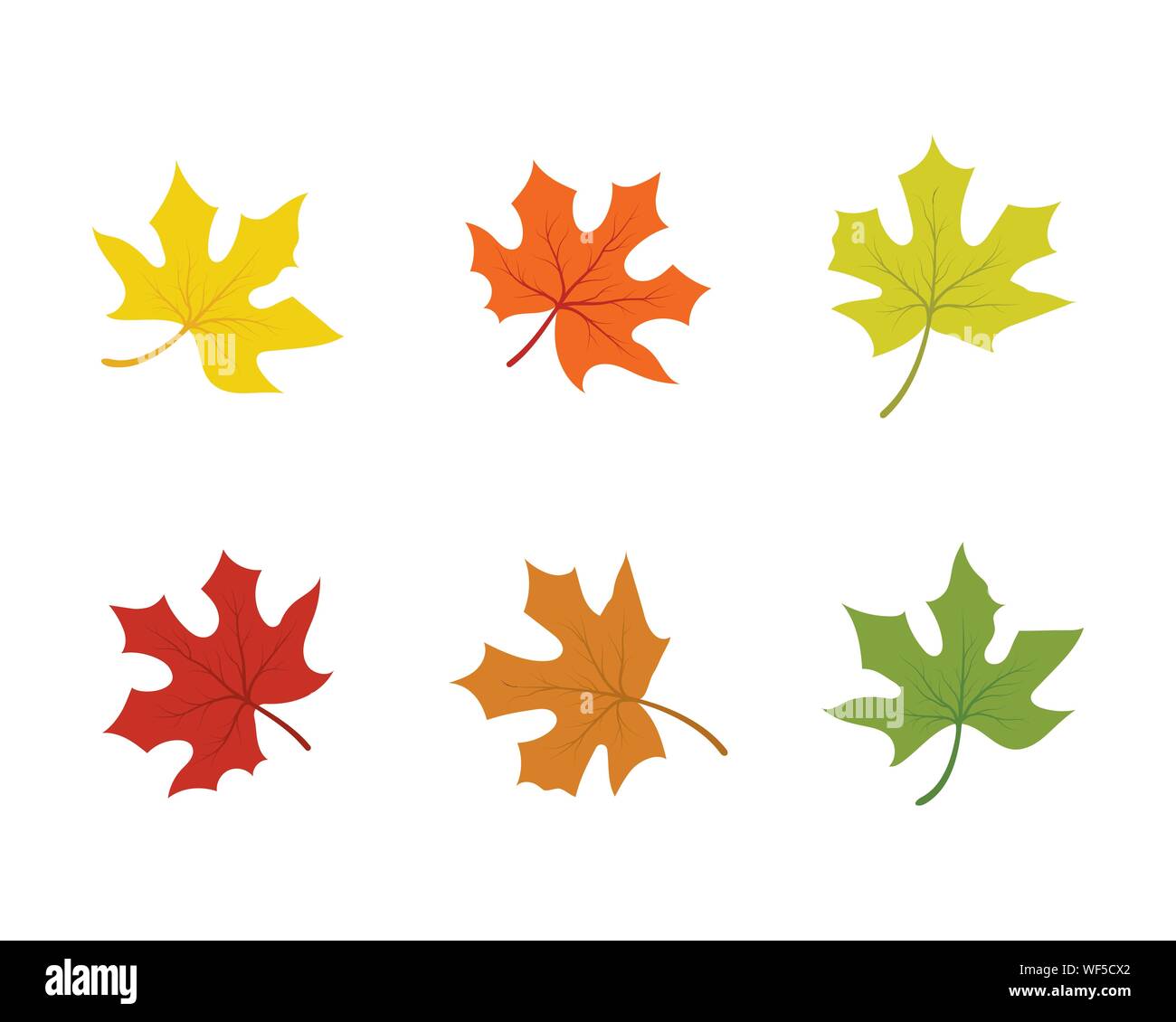 Maple leaf vector illustration design template Stock Vector Image & Art ...