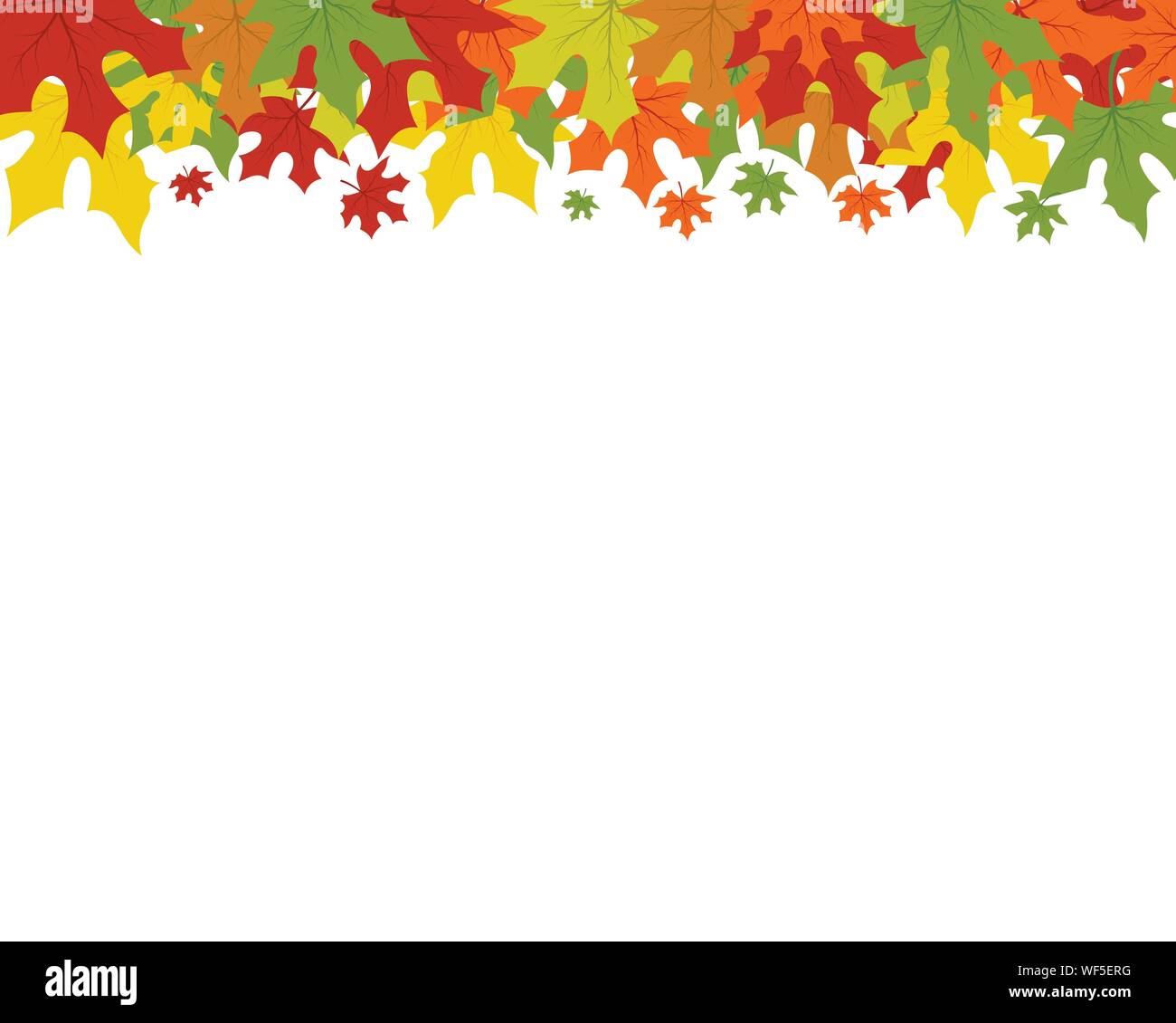 Maple leaf vector vectors hi-res stock photography and images - Alamy